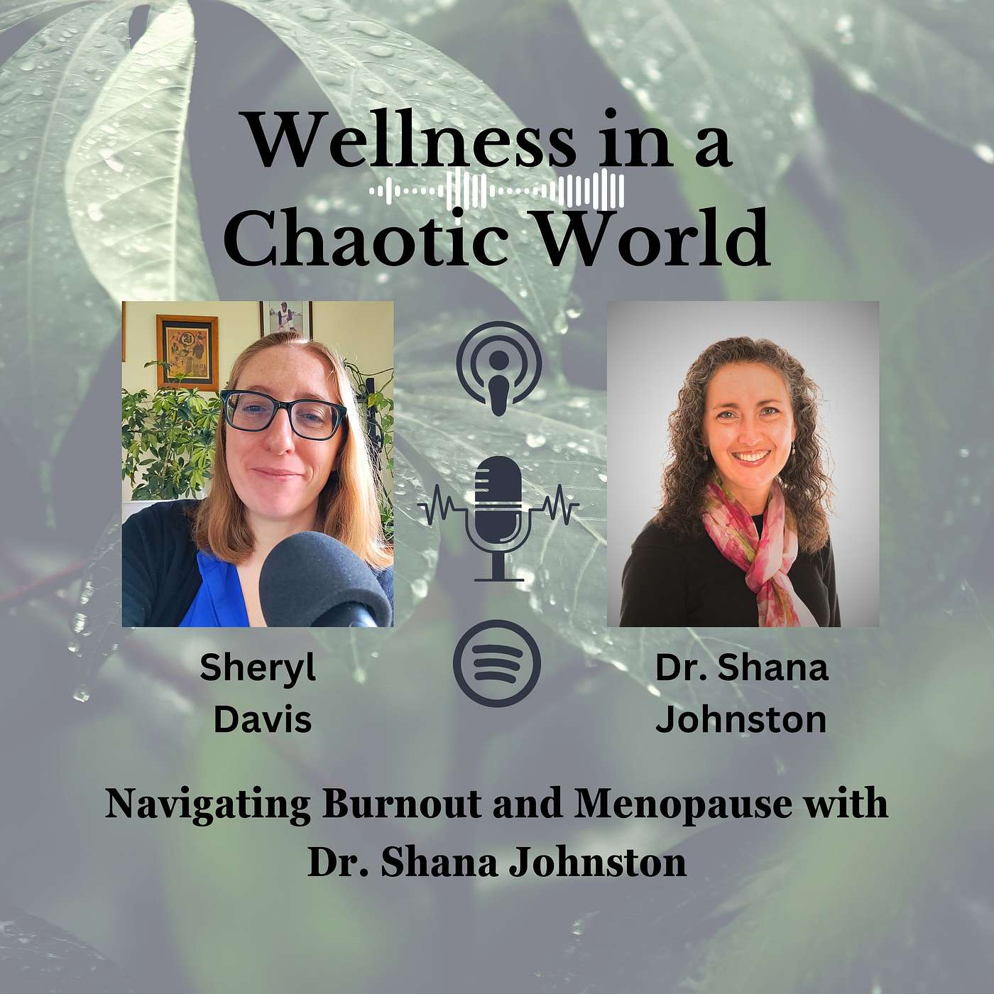 Wellness in a Chaotic World - Navigating Burnout and Menopause with Dr. Shana Johnston