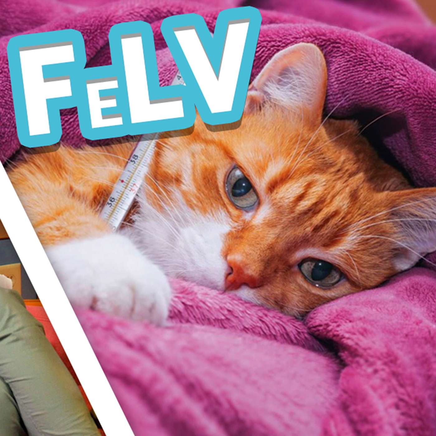 How We Diagnose and Treat Feline Leukemia Virus (FeLV)