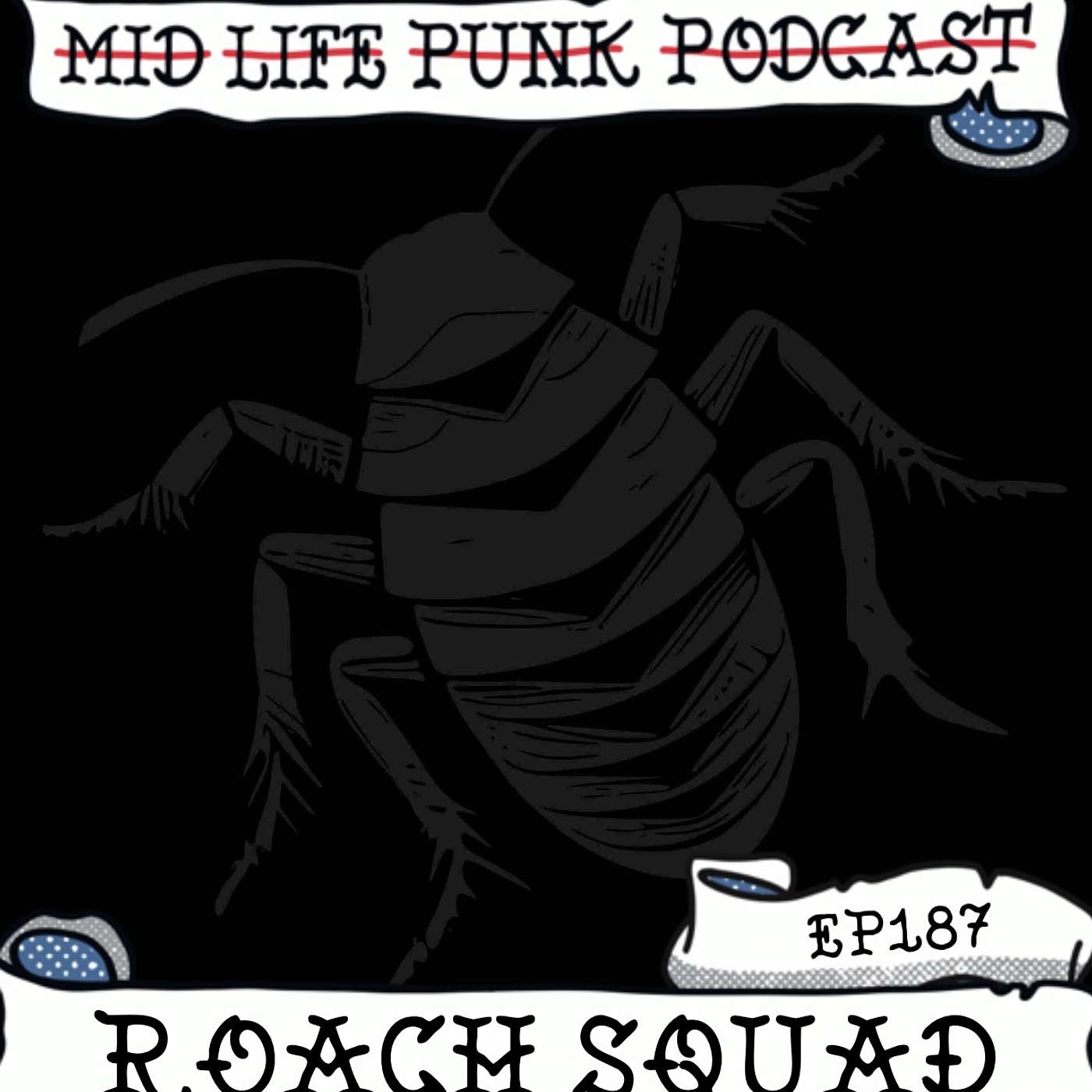 Mid Life Punk Podcast