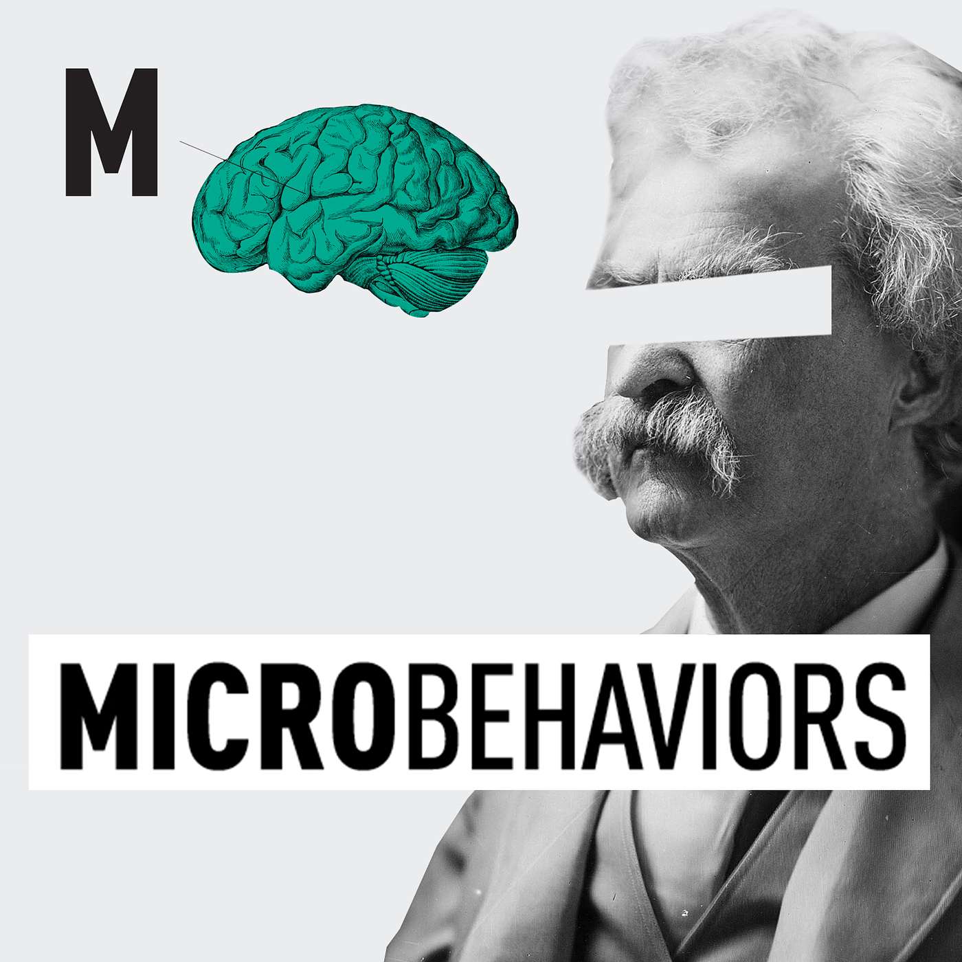 MicroBehaviors