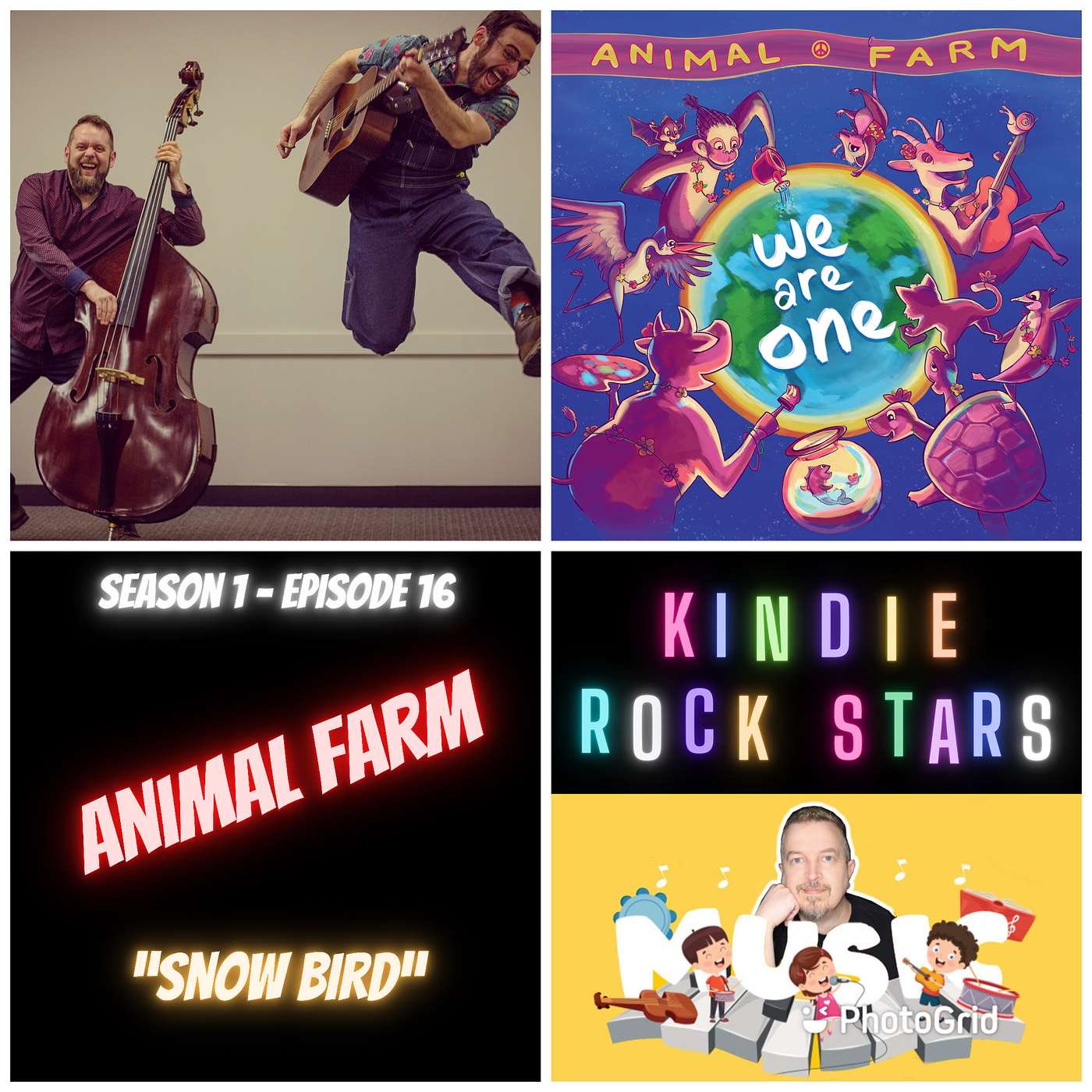 Ep 16 - ANIMAL FARM - Snow Bird