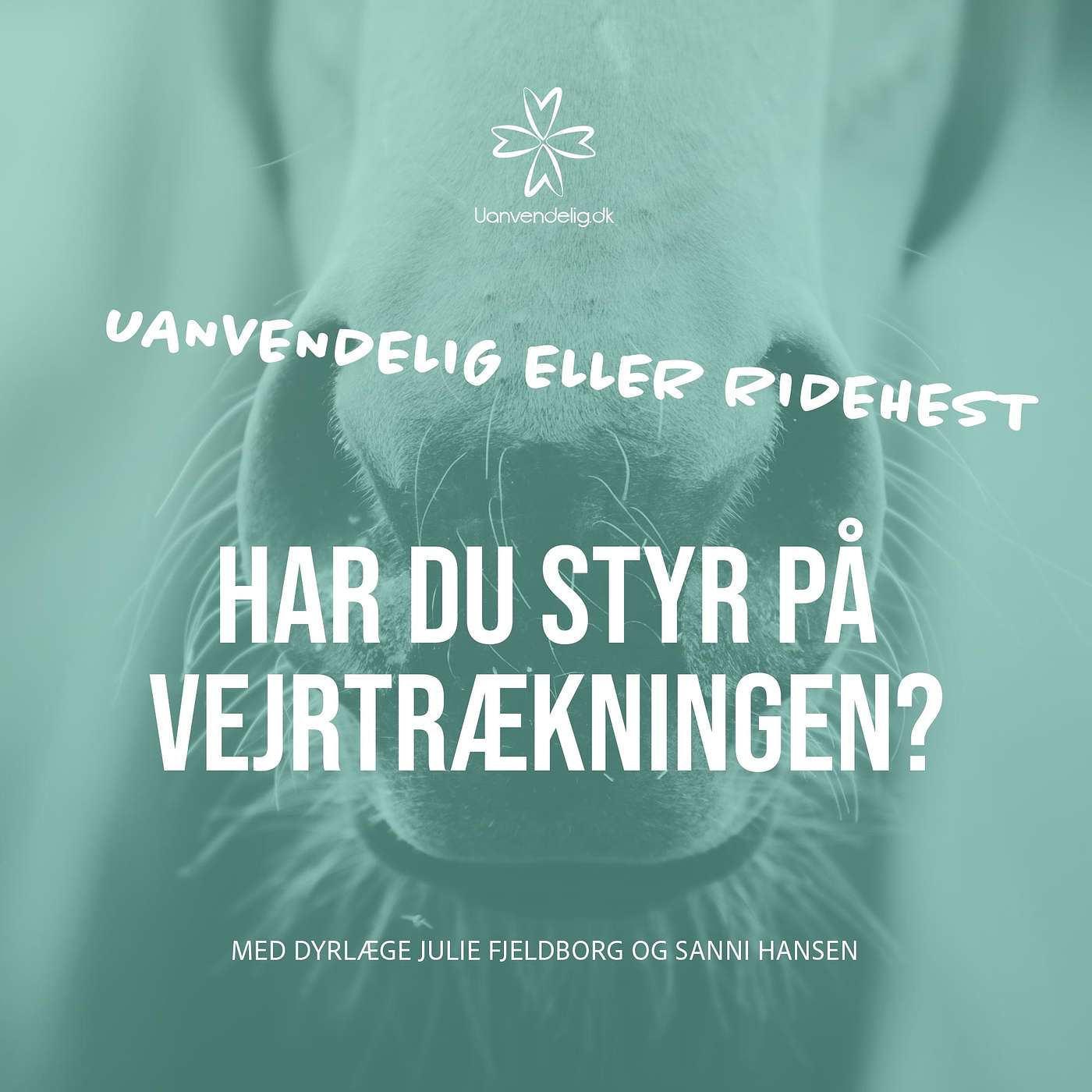 Har du styr på vejrtrækningen? Med Julie Fjeldborg og Sanni Hansen