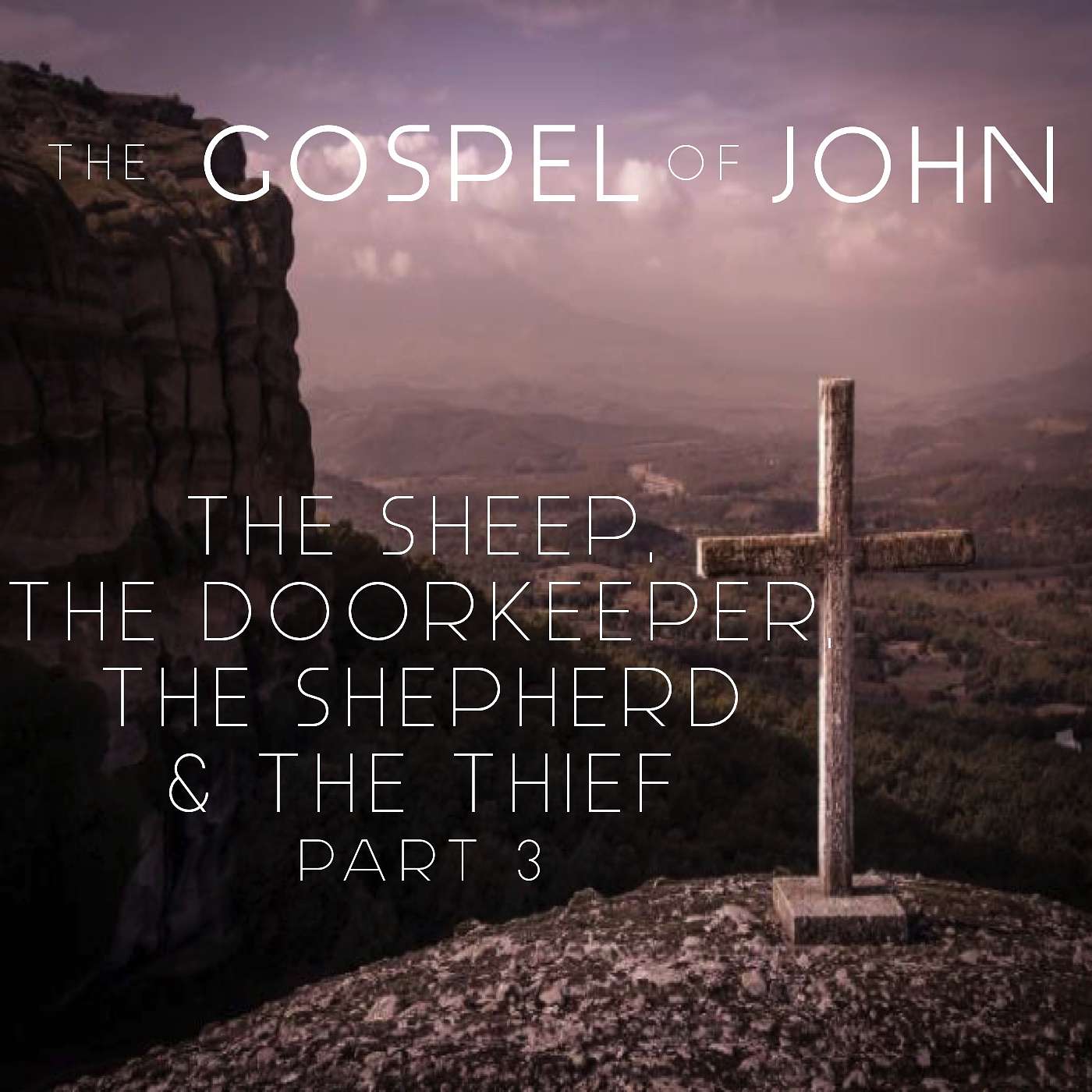 The Gospel Of John - The Sheep, The Doorkeeper, The Shepherd And The Thief Part 3 episode artwork