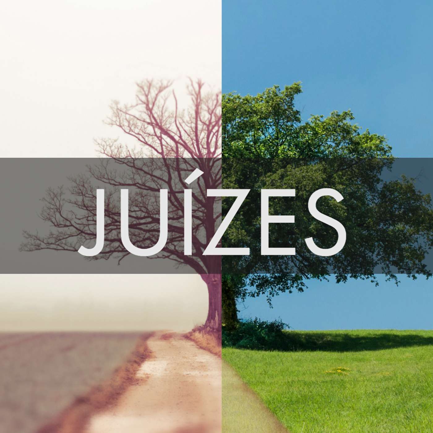 Sabedoria para o Coração