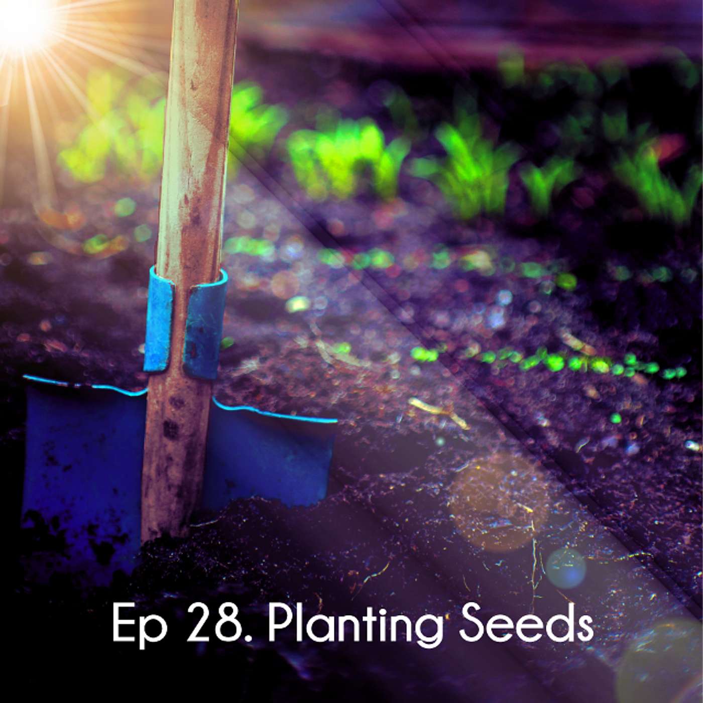 Ep 28. Planting Seeds