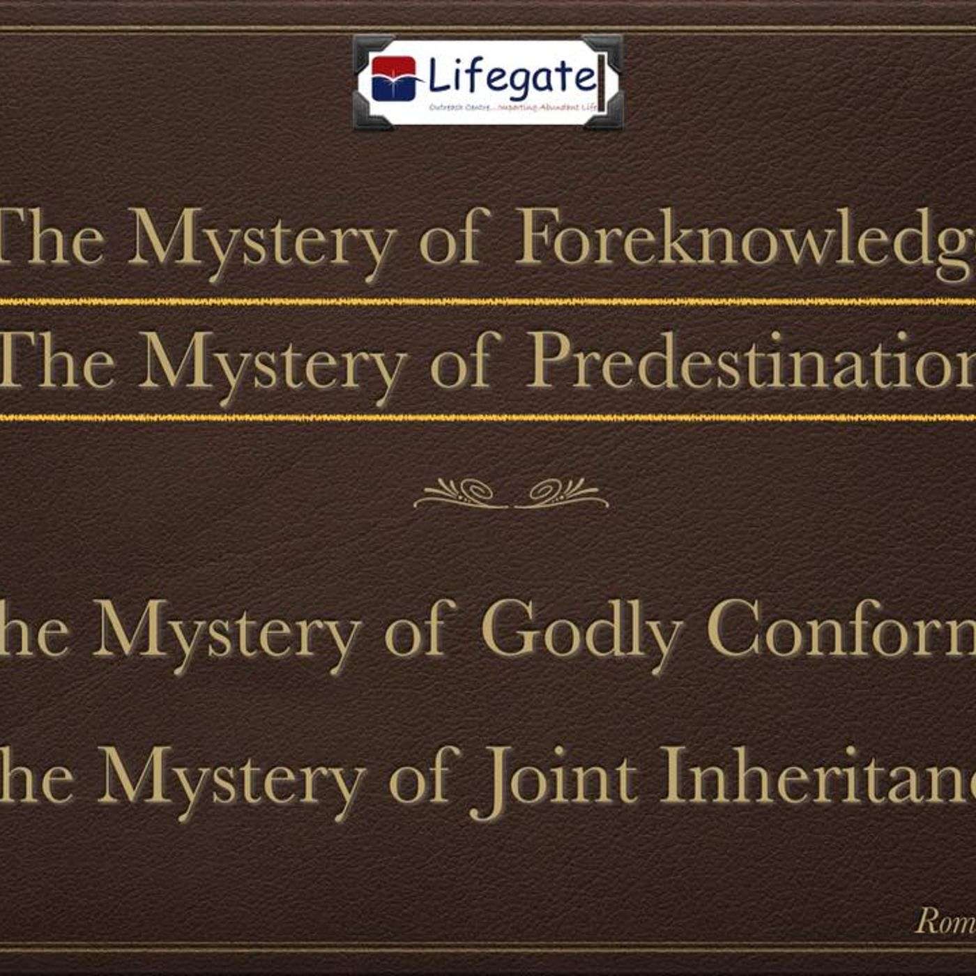 The Mystery of Predestination episode artwork