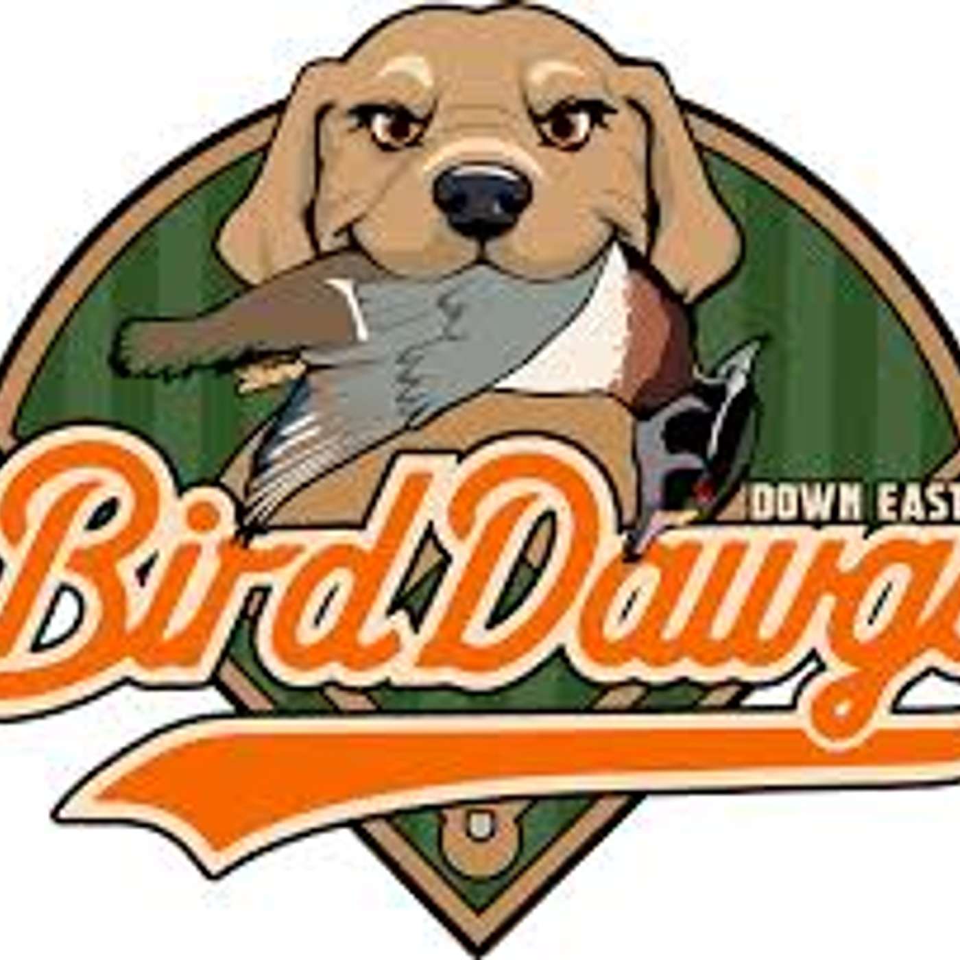 He's Got That Dawg in Him! - Meet Spencer Pattison, Director of Broadcasting and Media Relations for the Down East BirdDawgs