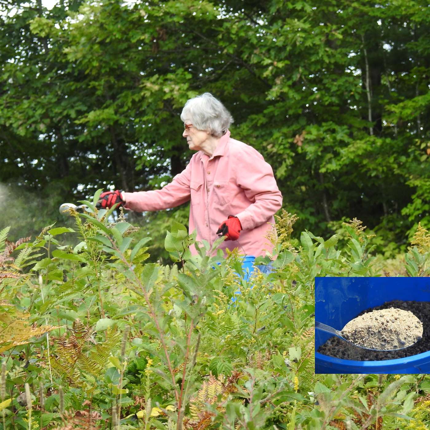 GIVING NATURE A HAND