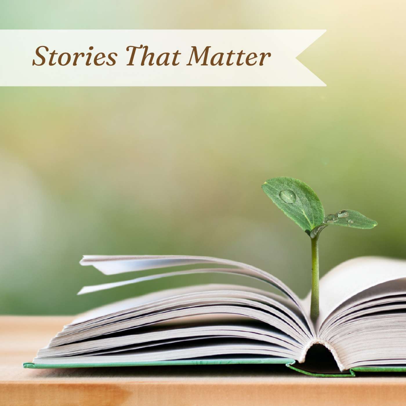 5-10-26 The Story Abides [Stories that Matter] (Sixth Sunday of Easter) episode artwork