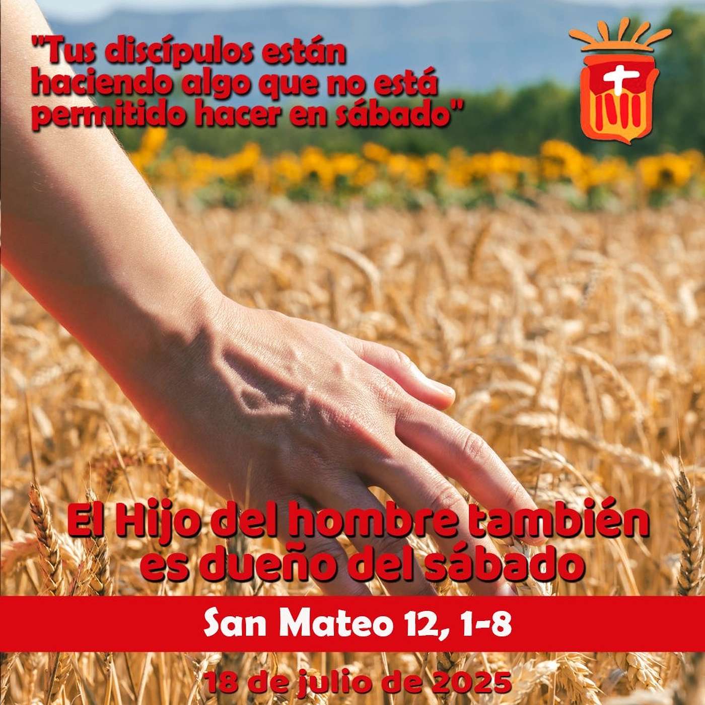 2025-07-18 San Mateo 12, 1-8: Viernes XV Ordinario