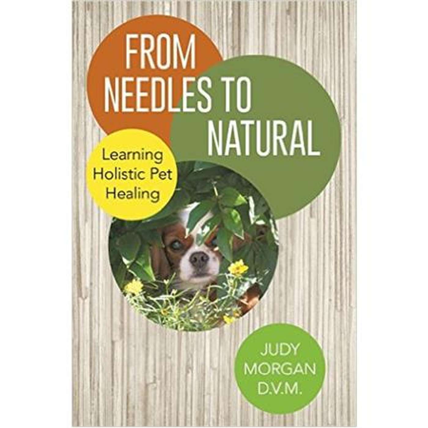 Holistic Nutrition for Pet Cancer and Immune System Disease episode artwork
