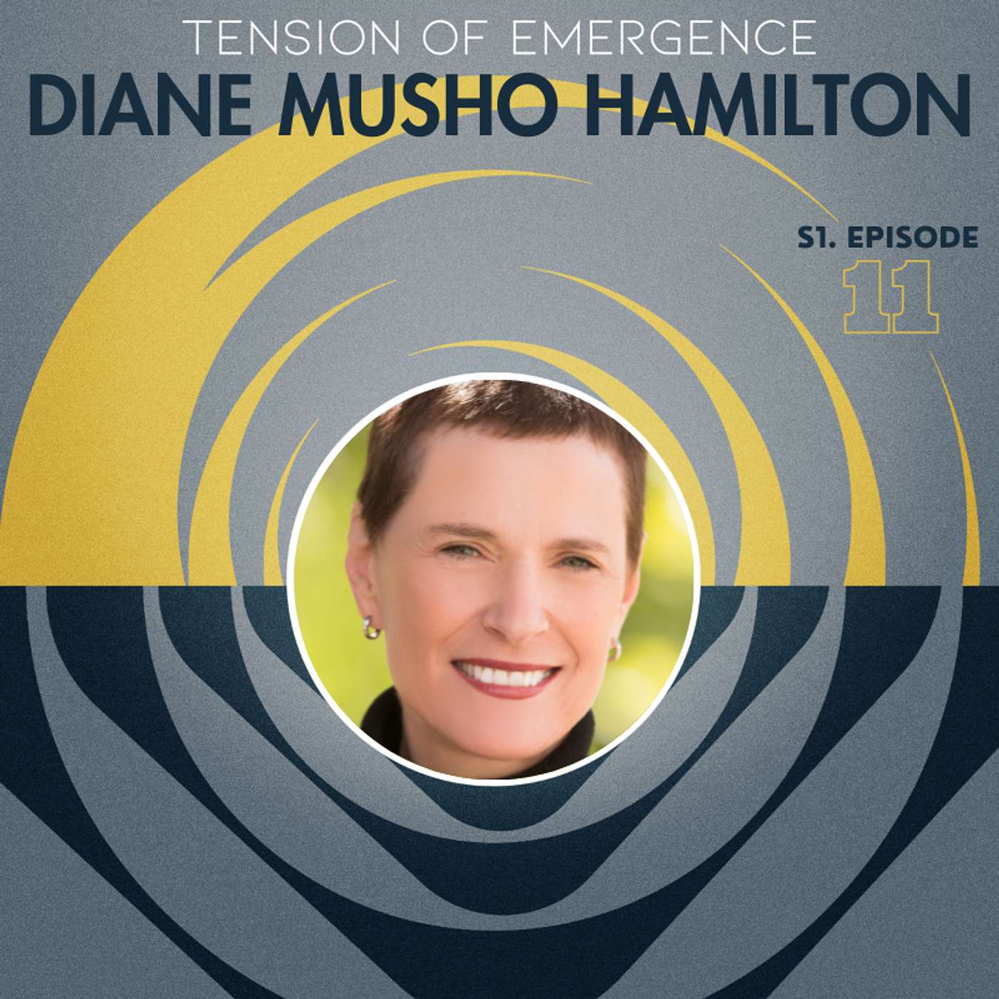 Healing Division: How to Listen When We Can’t Agree- with Diane Musho Hamilton