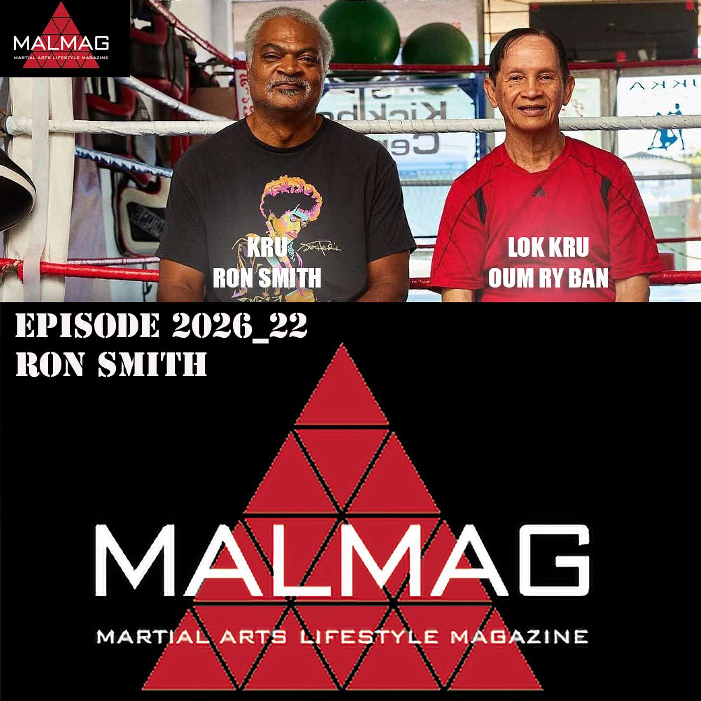 The Martial Arts Lifestyle Podcast
