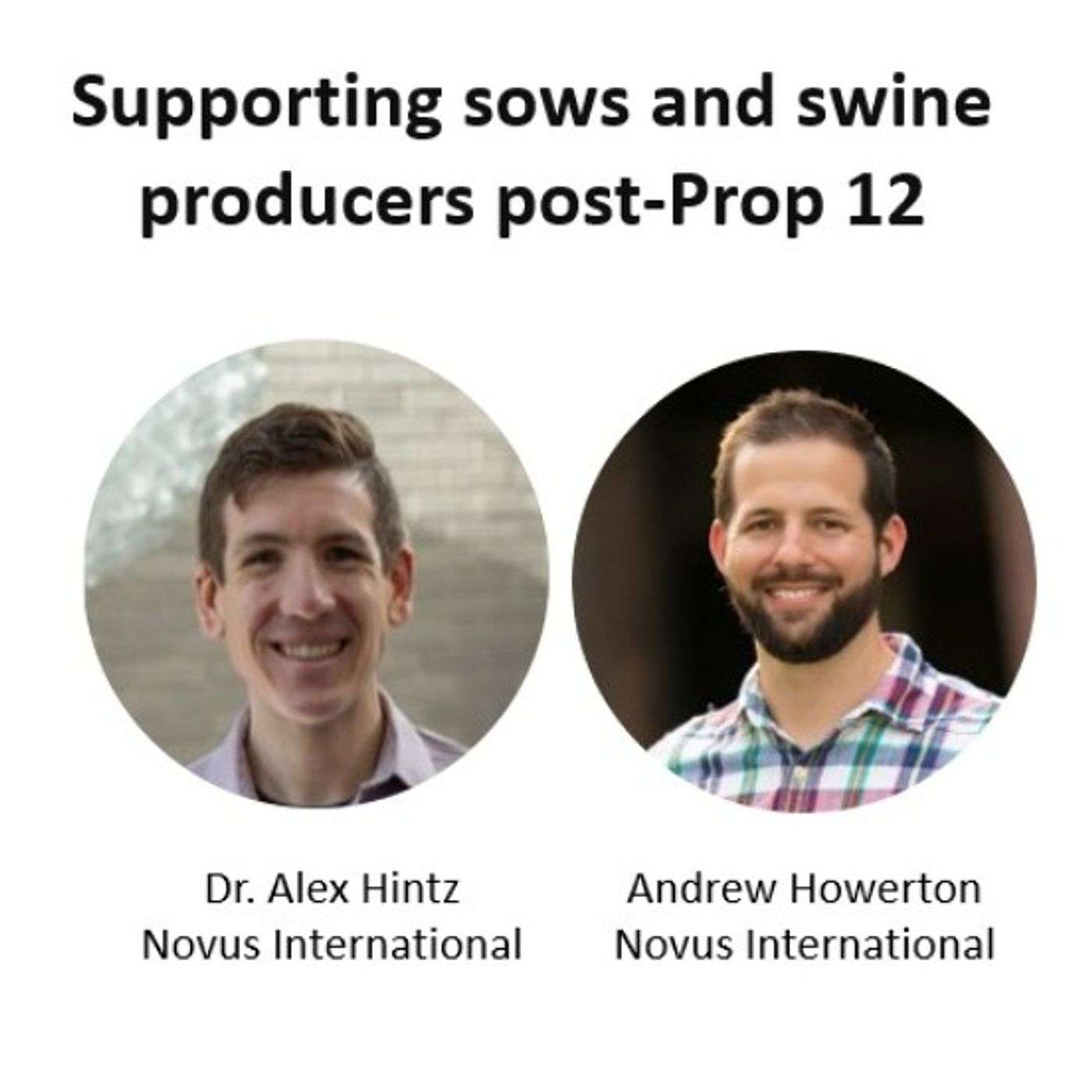 Feedstuffs in Focus - Supporting sows and swine producers post-Prop 12