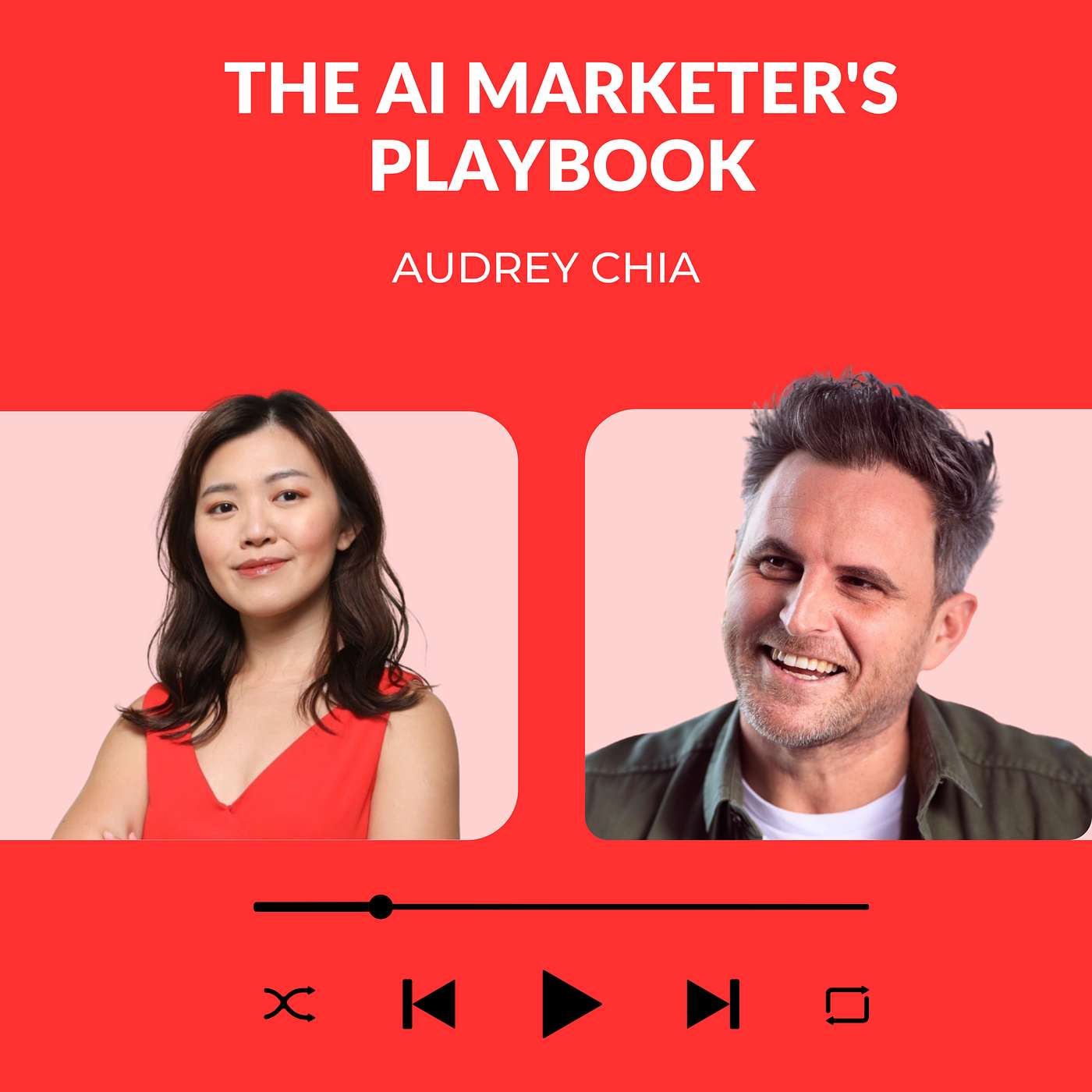 The AI Marketer\'s Playbook
