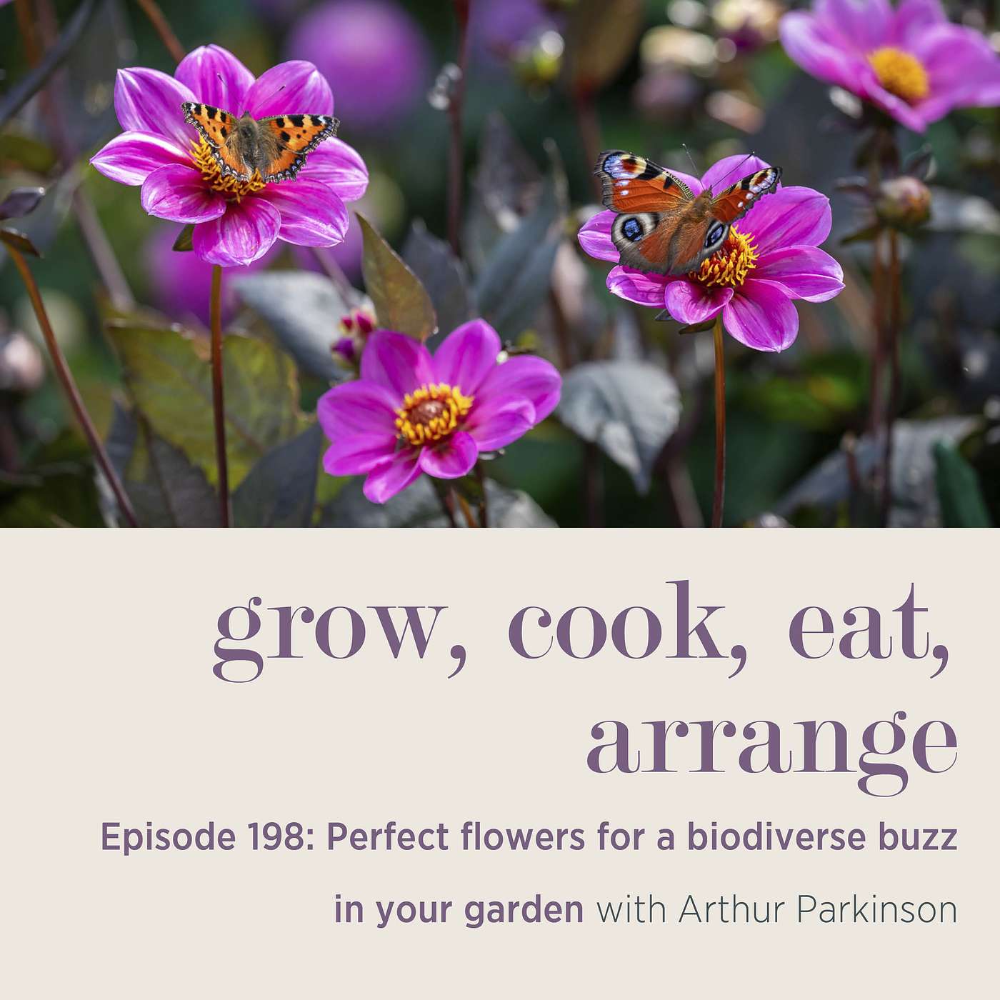 Perfect flowers for a biodiverse buzz in your garden with Arthur Parkinson - Episode 198