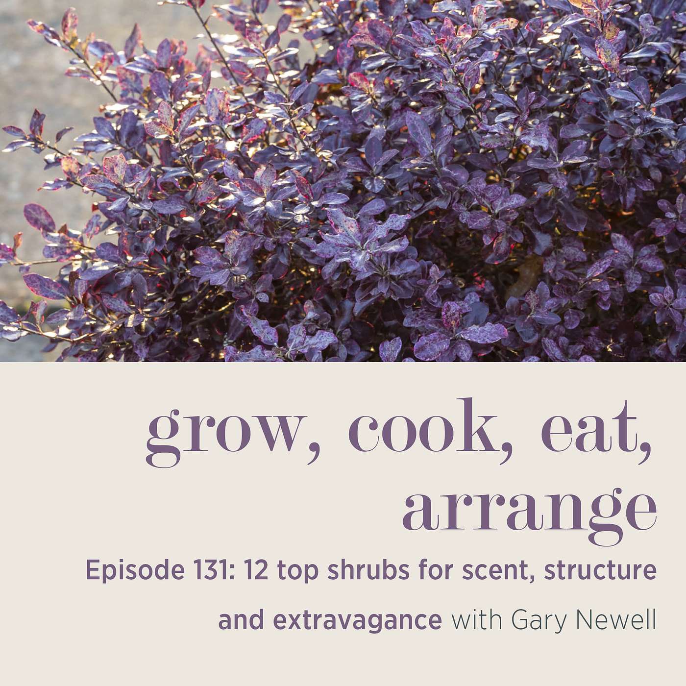 cover of episode 12 Top Shrubs for Scent, Structure and Extravagance with Gary Newell - Episode 131