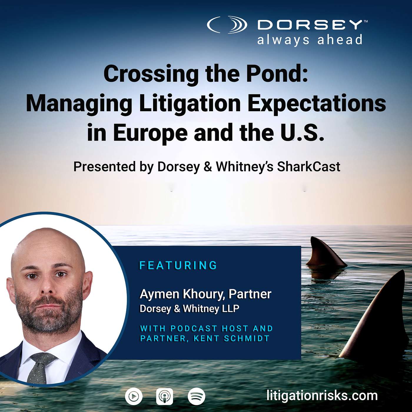 Crossing the Pond: Managing Litigation Expectations in Europe and the U.S.