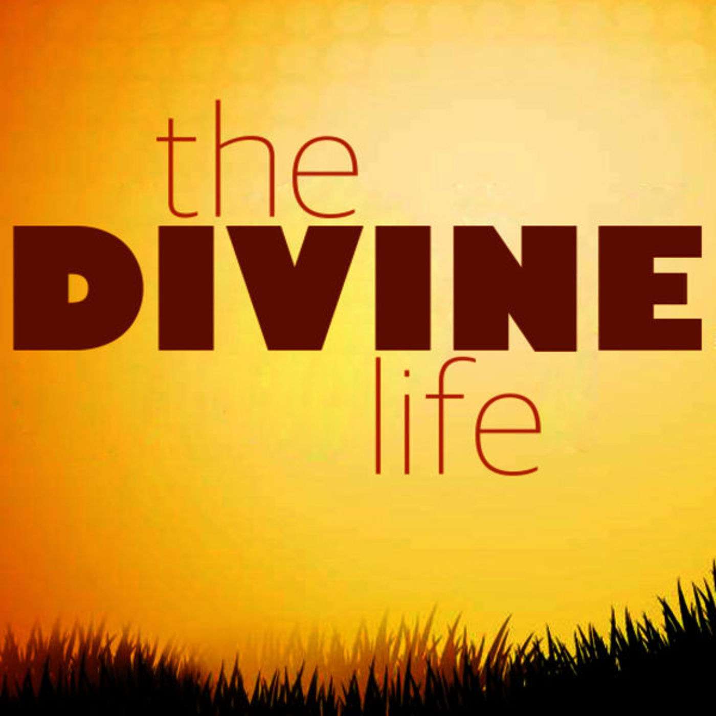 The Divine Life (part 3)