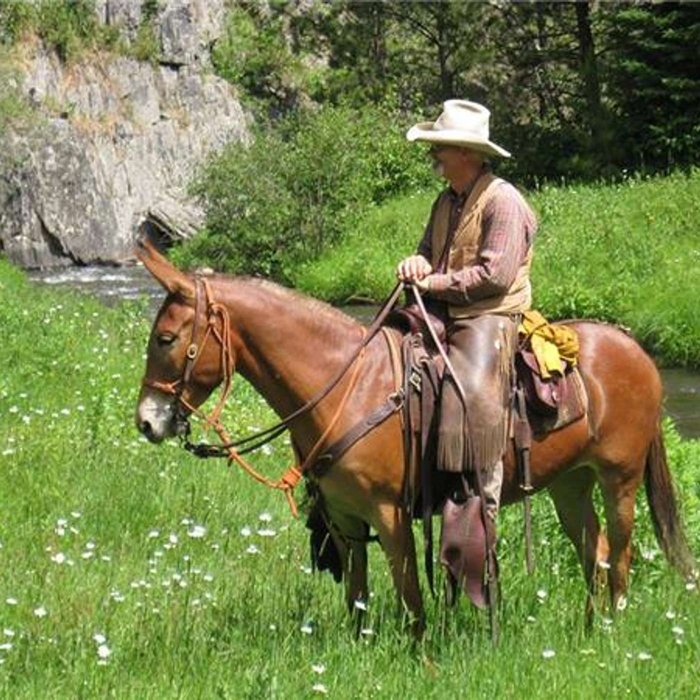 DEADWOOD SD Trails & DUTCH OVEN COOKING this week on SADDLE UP AMERICA!
