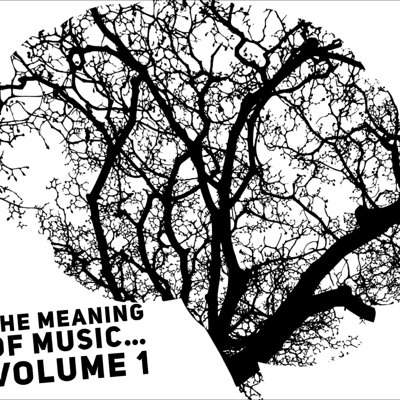 The Meaning of Music... Volume 1