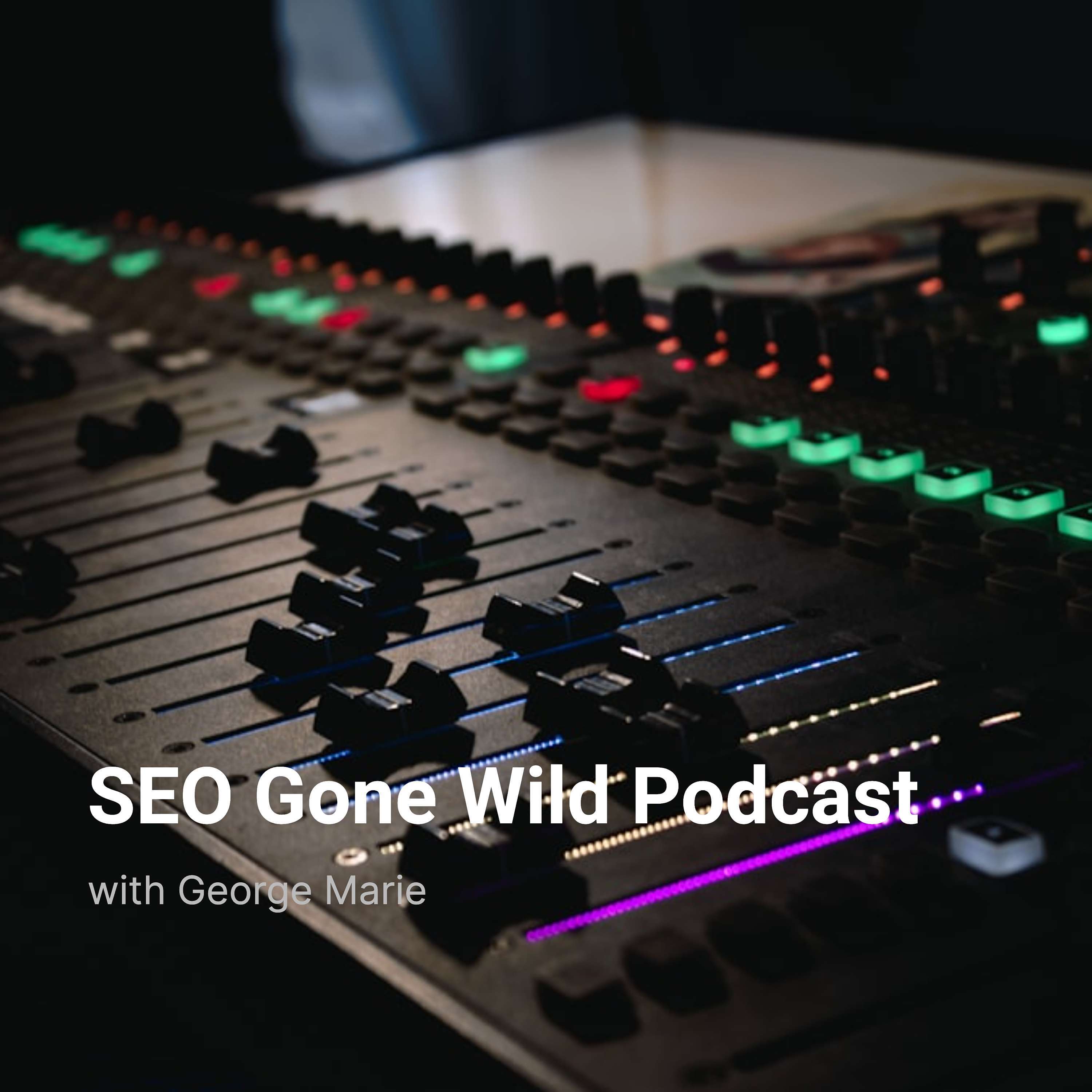 SEO Gone Wild Podcast