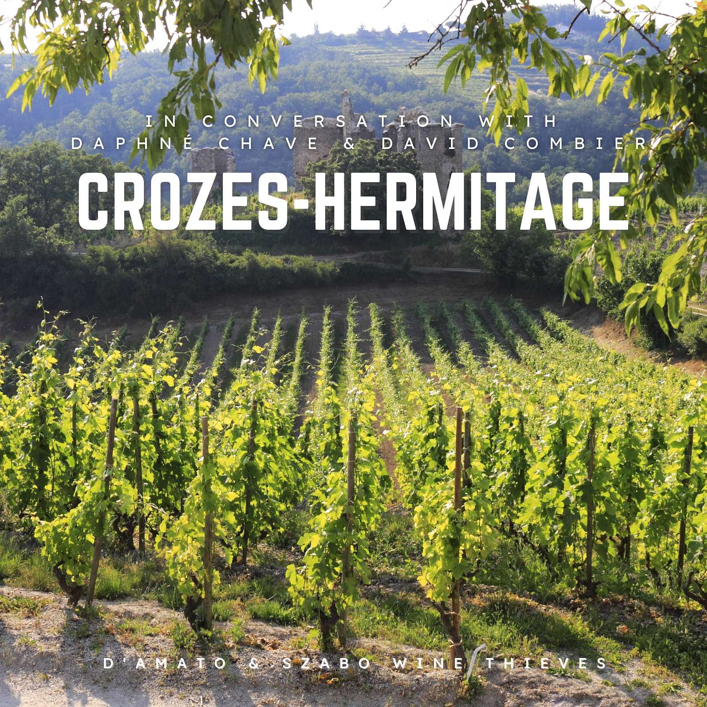 S3E8: A Tale of Two Crozes-Hermitage, with Daphné Chave and David Combier