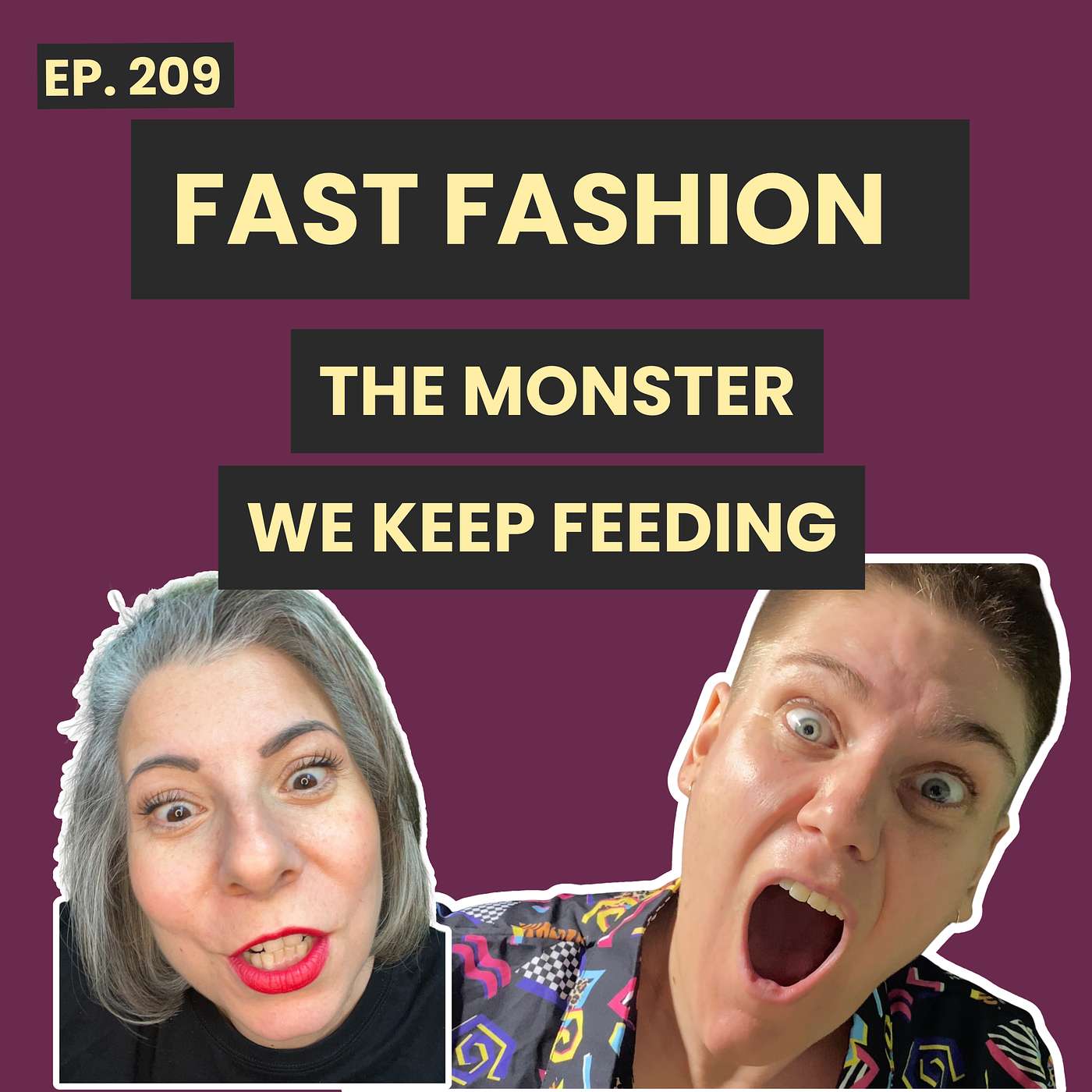 209: Fast Fashion Manipulates You: Why You Keep Buying It & How to Stop episode artwork