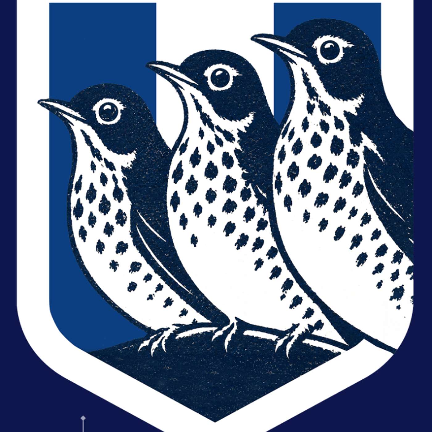 Logo of the podcast Full Throstle Podcast 1 - Andy Hunt Podcast Full Throstle Podcast 1 - Andy Hunt