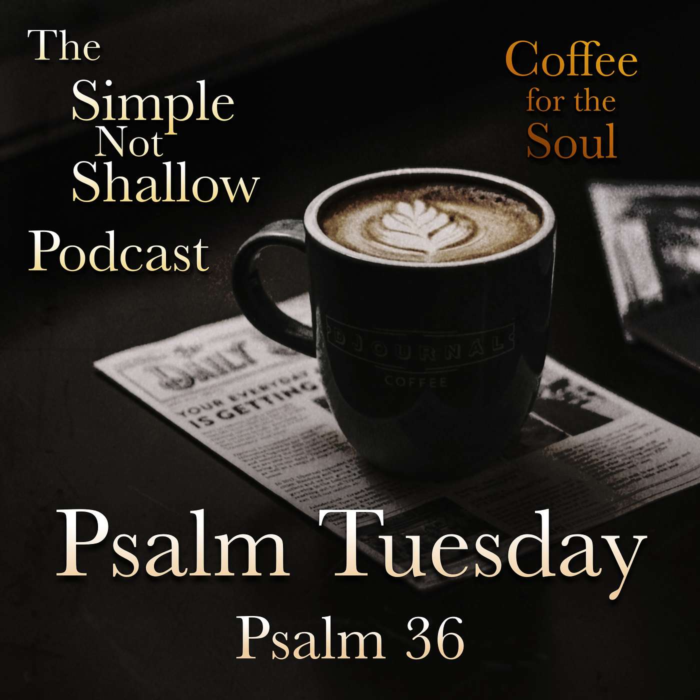 The Simple Not Shallow Podcast