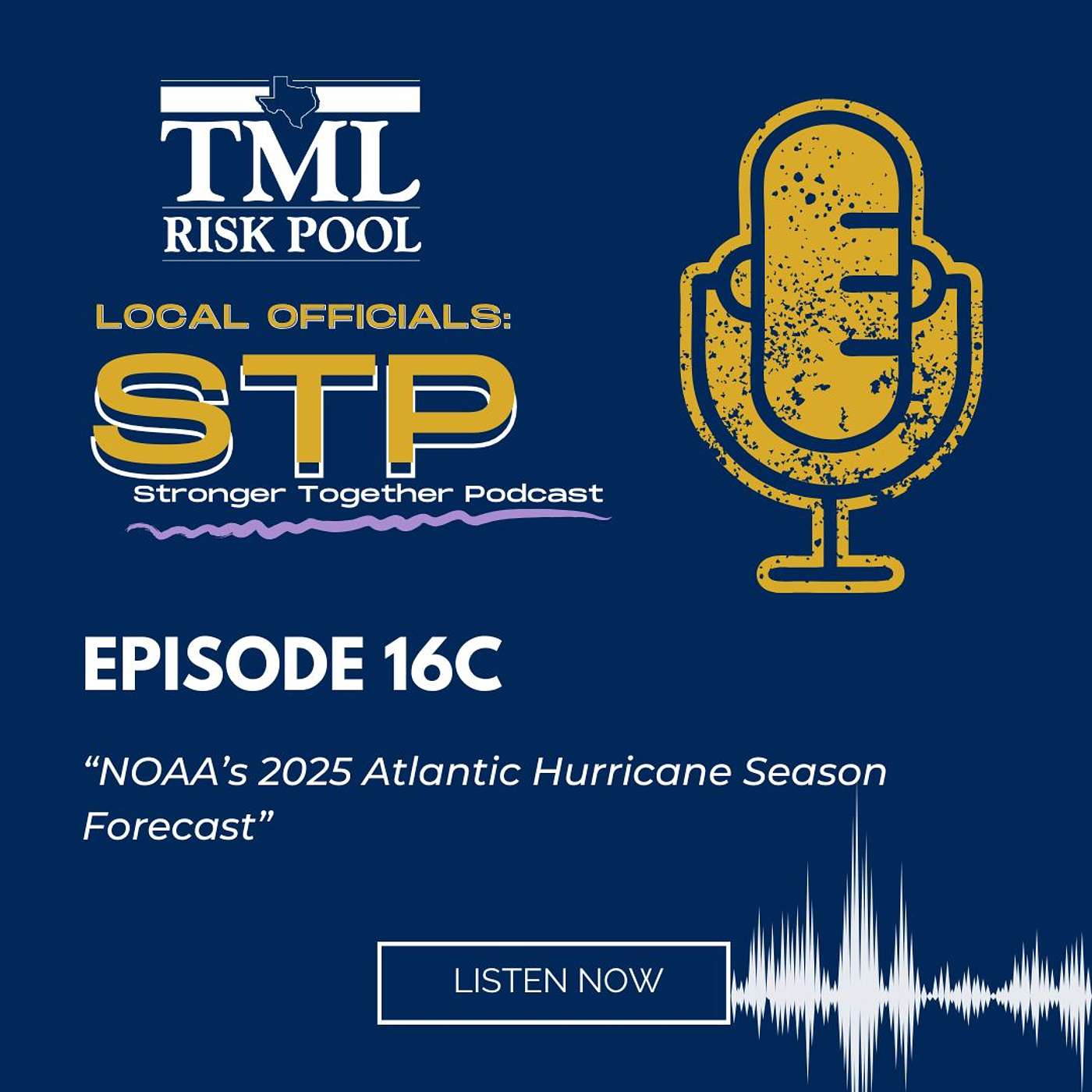 Local Officials: Stronger, Together Podcast