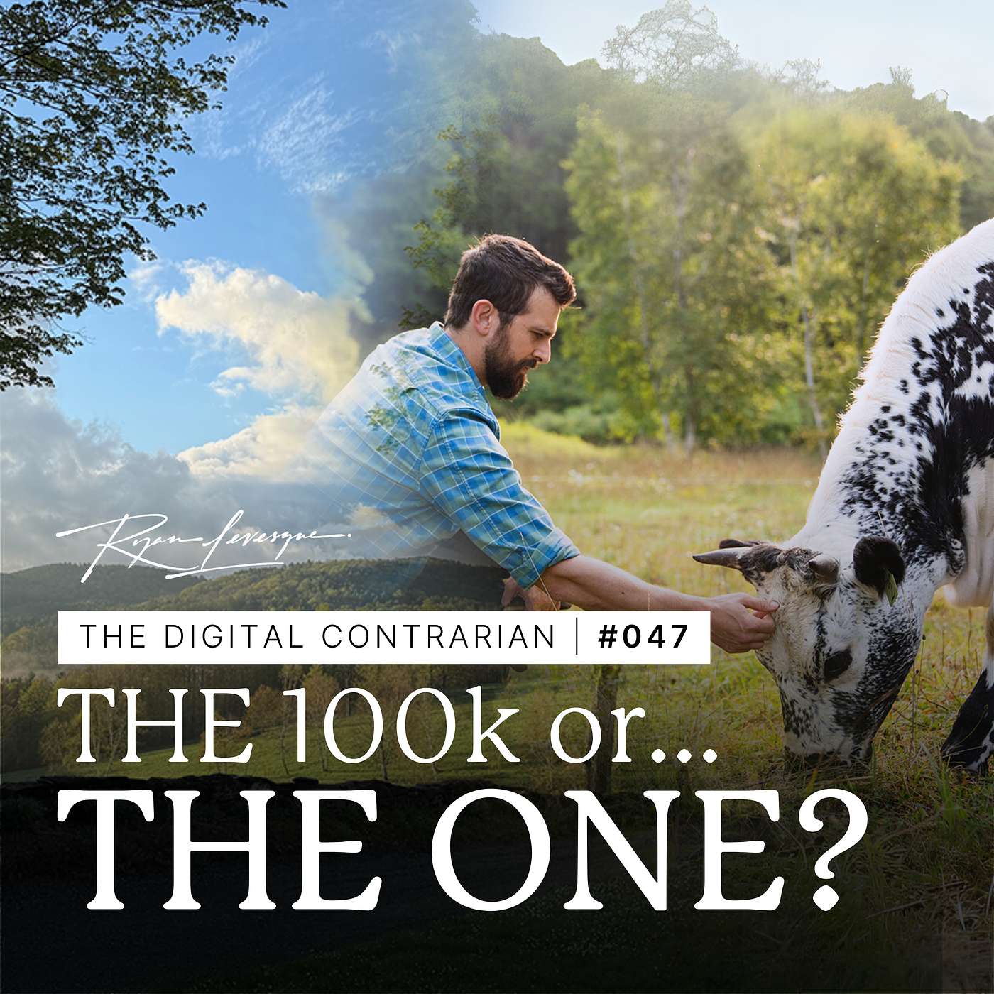 The Digital Contrarian