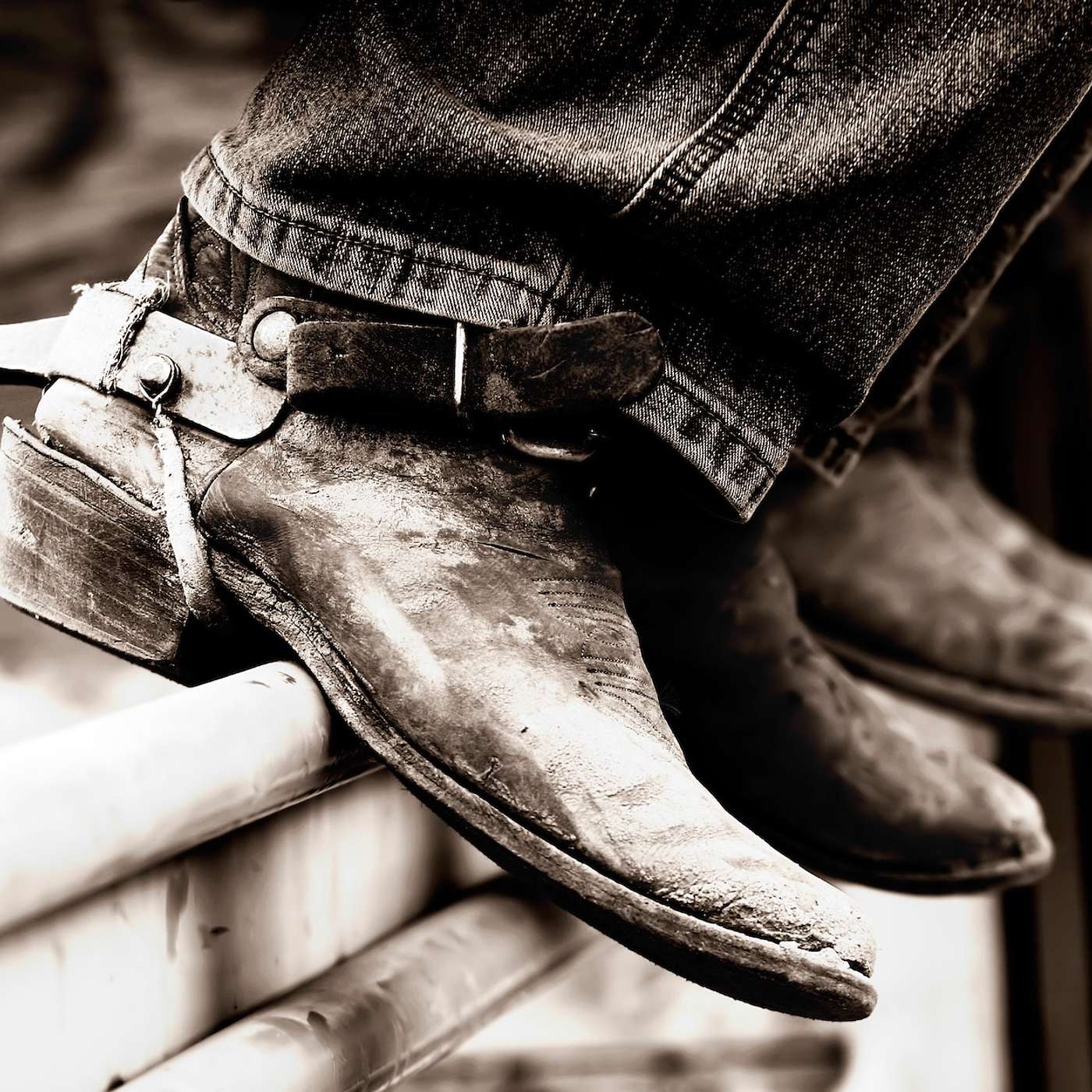 Fains Discuss the Legacy and Impact of the World’s Oldest Rodeo episode artwork