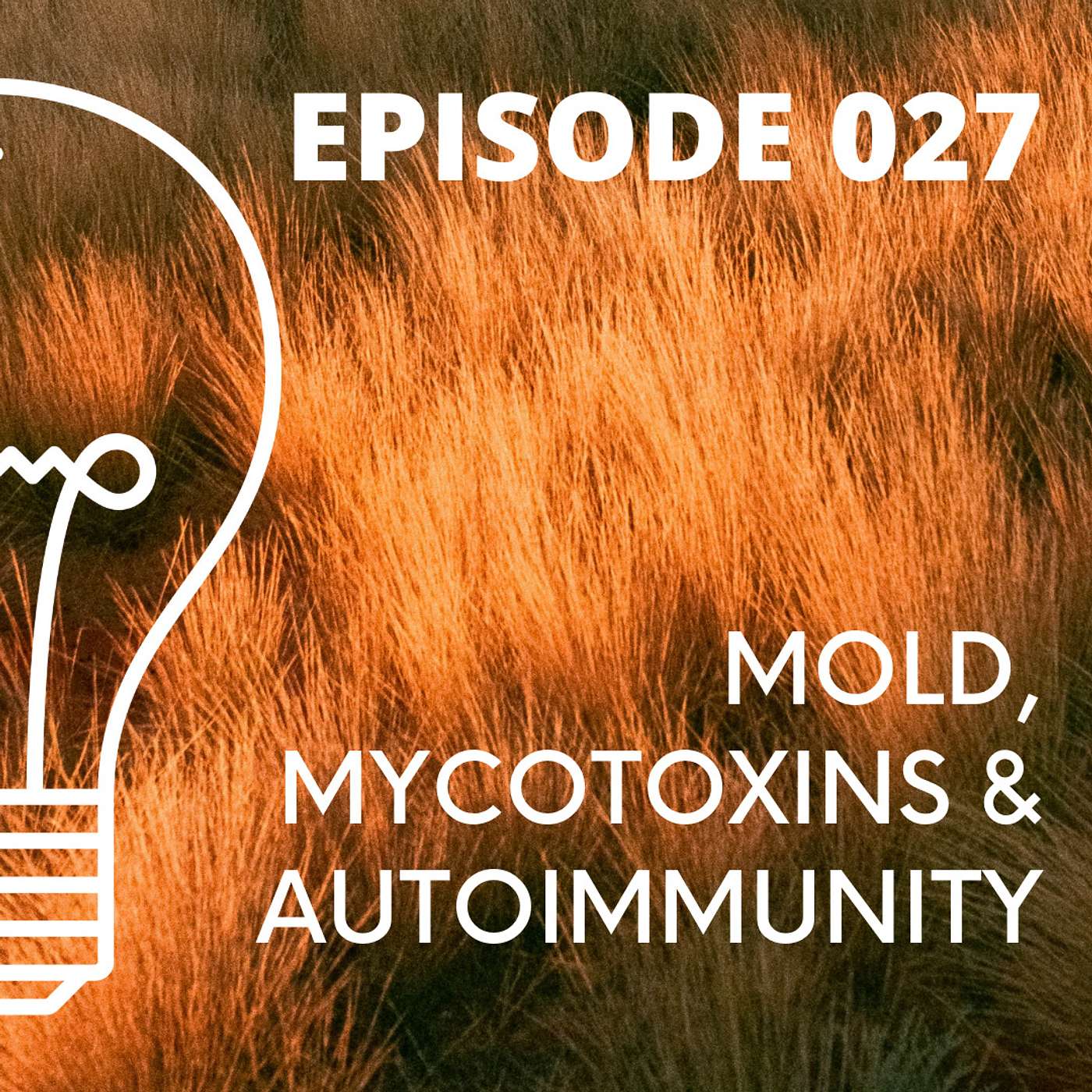 The Autoimmune Doc Podcast w/ Dr. Taylor Krick
