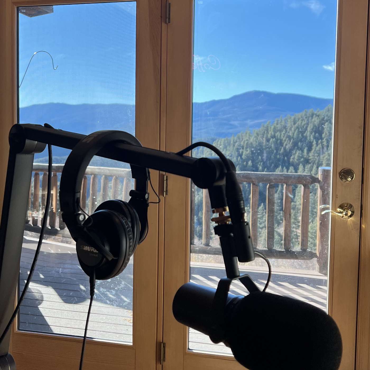 Thin Aired and Impaired cover