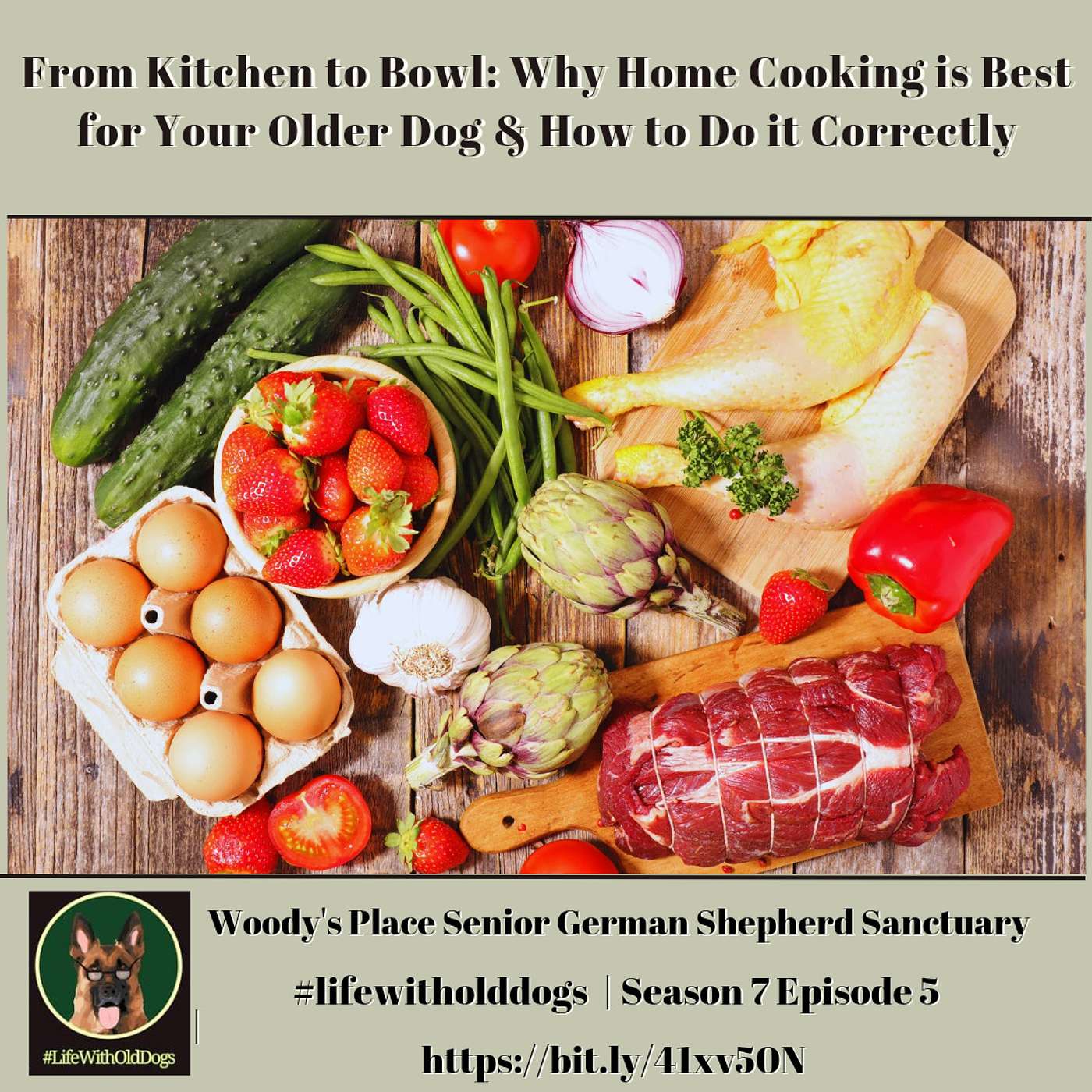 #Lifewitholddogs Podcast