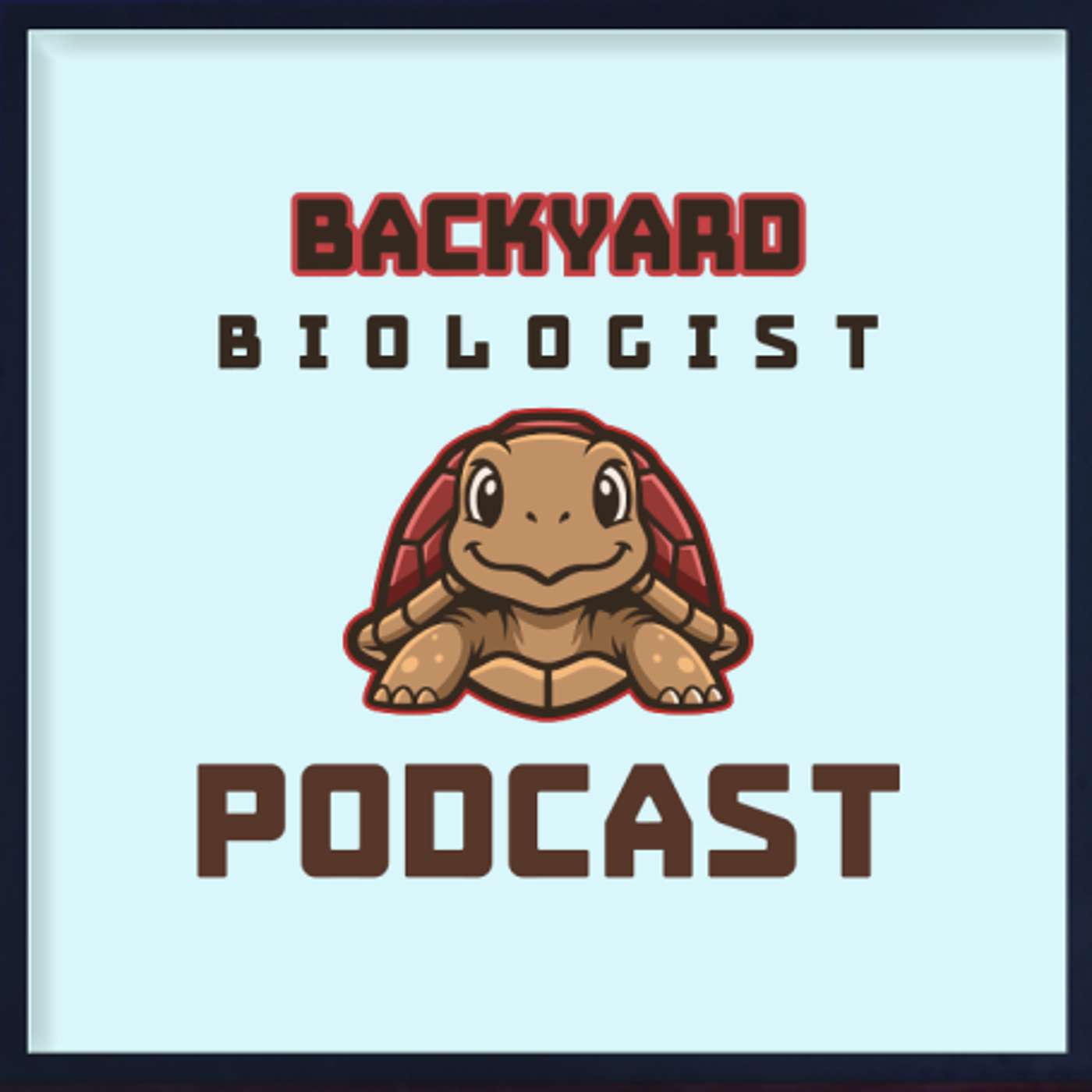 Alligator Sanctuary Presents: cover art