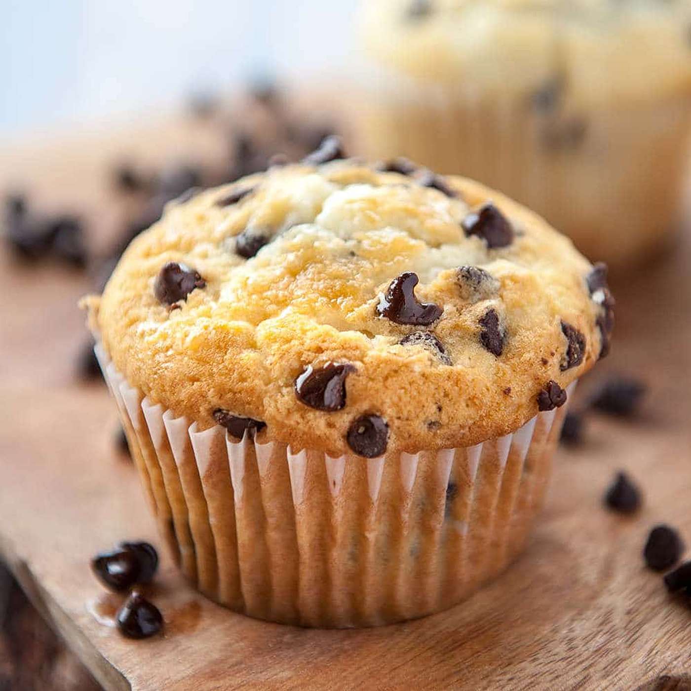 Muffins, Muffins, Muffins!! Are the best ever in the world!