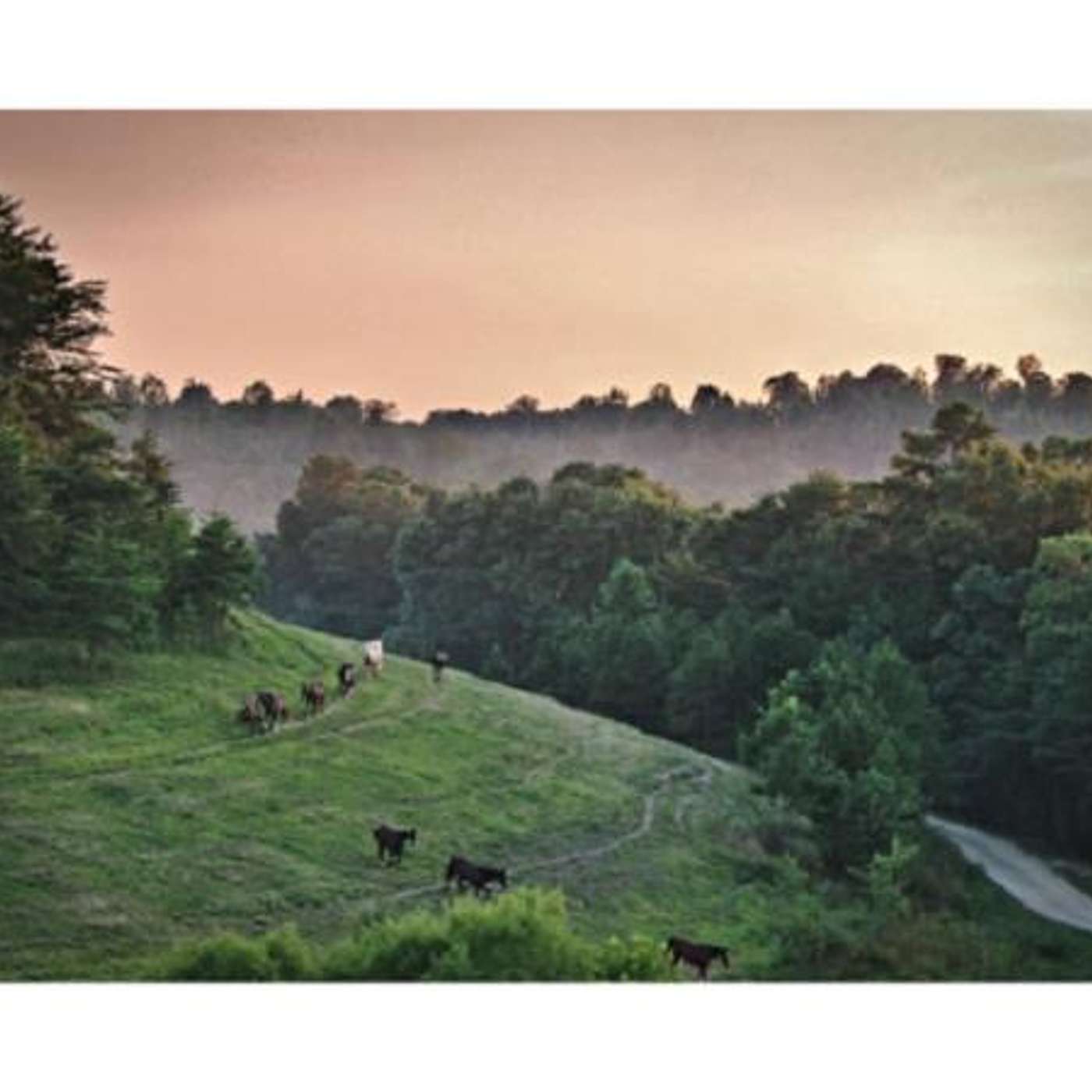 DANIEL BOONE NATIONAL FOREST on EQUESTRIAN LEGACY RADIO'S SADDLE UP AMERICA!