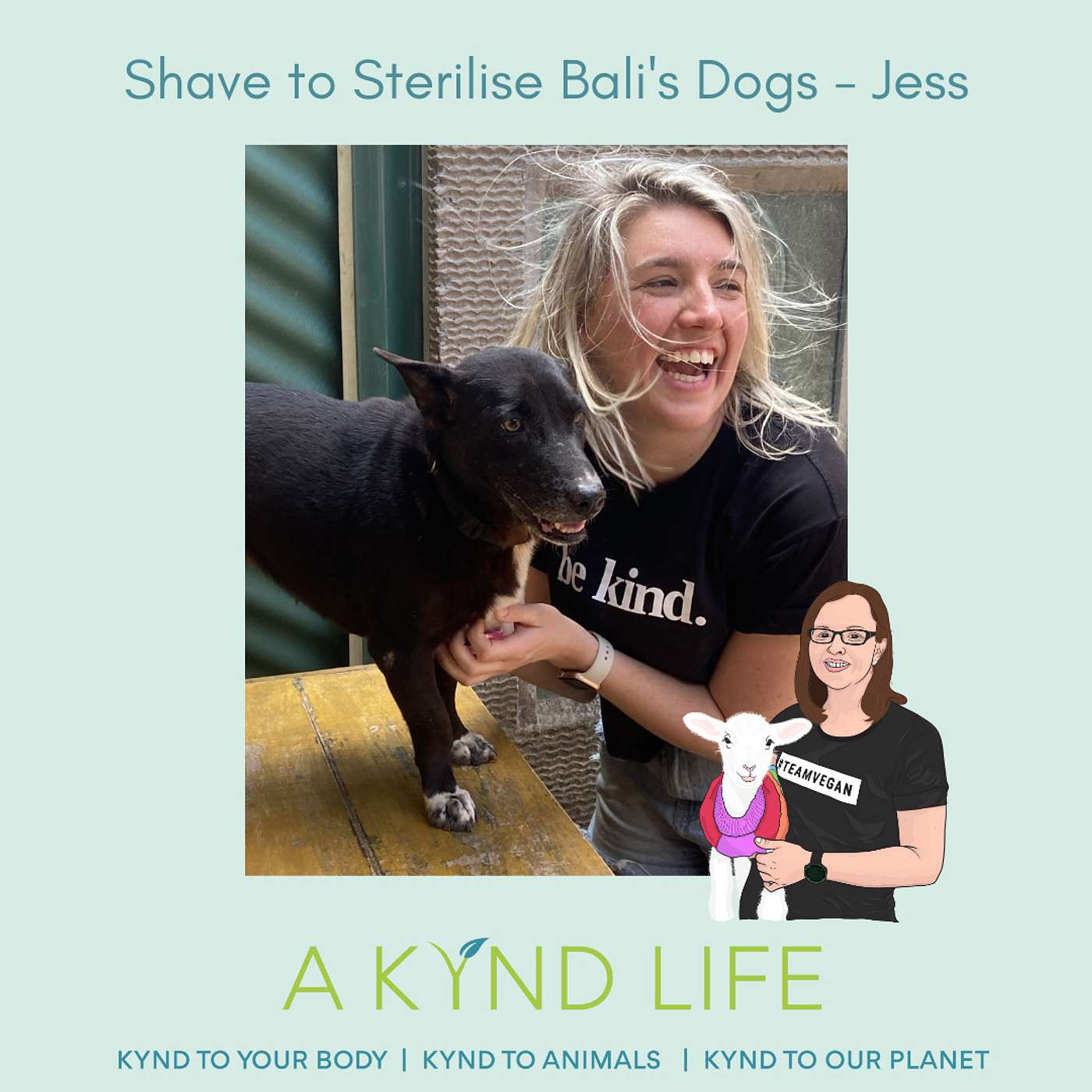 Shave to Sterilise Bali's Dogs - Jess, Project Bali Dog Shave to Sterilise Bali's Dogs - Jess, Project Bali Dog