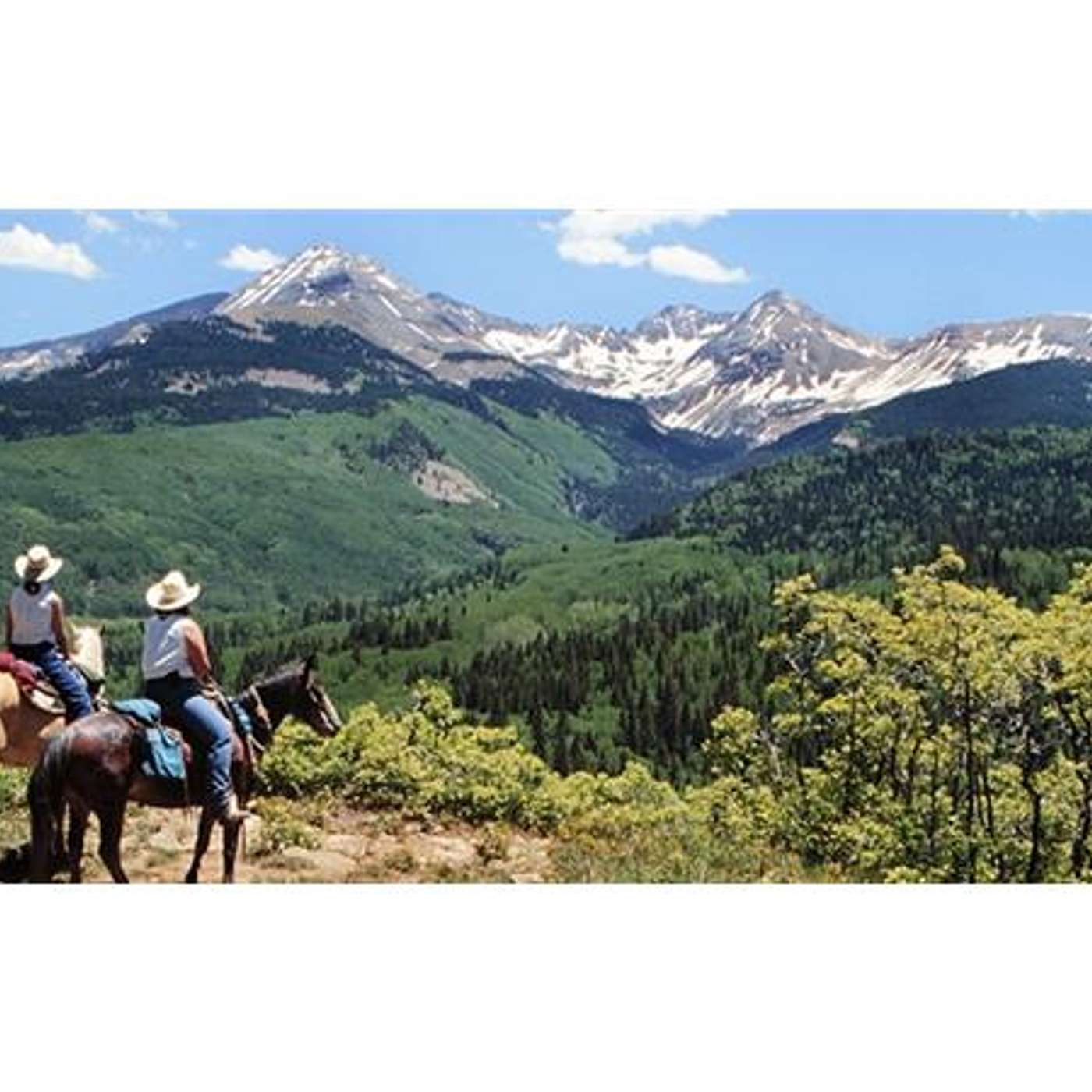 Equestrian Legacy Radio