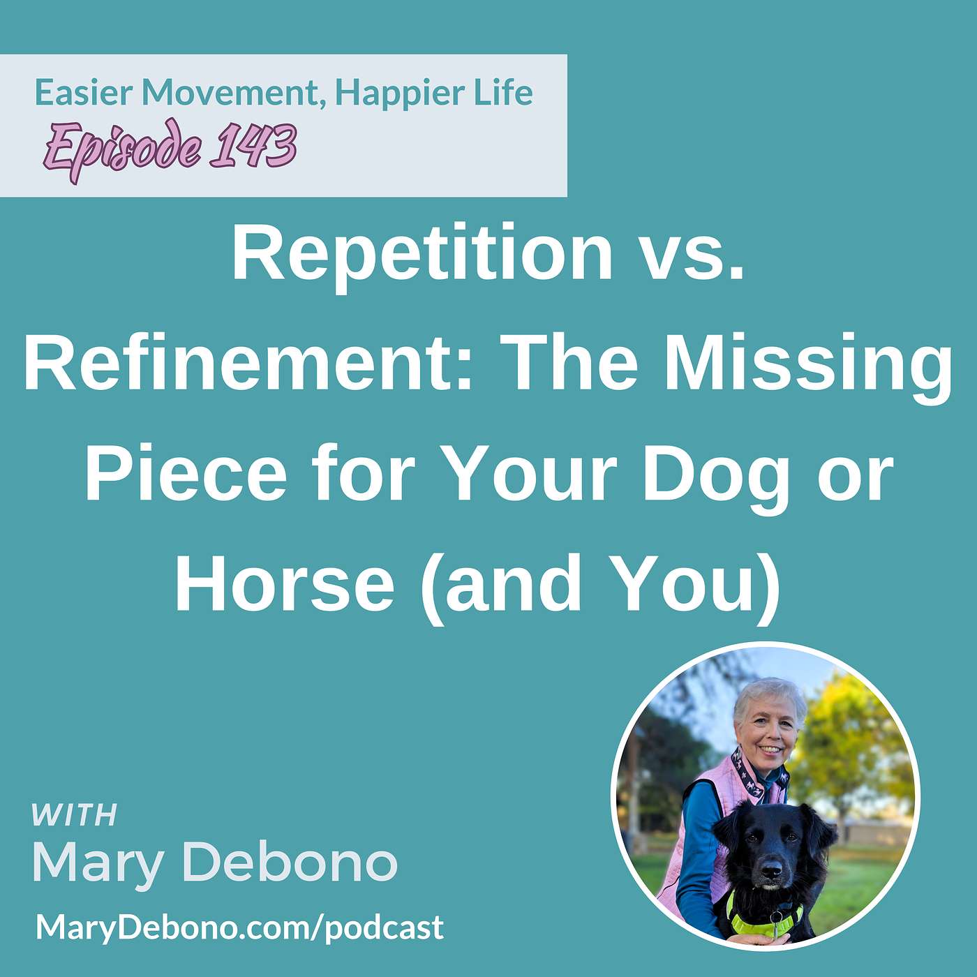 Repetition vs. Refinement: The Missing Piece for Your Dog or Horse (and You)