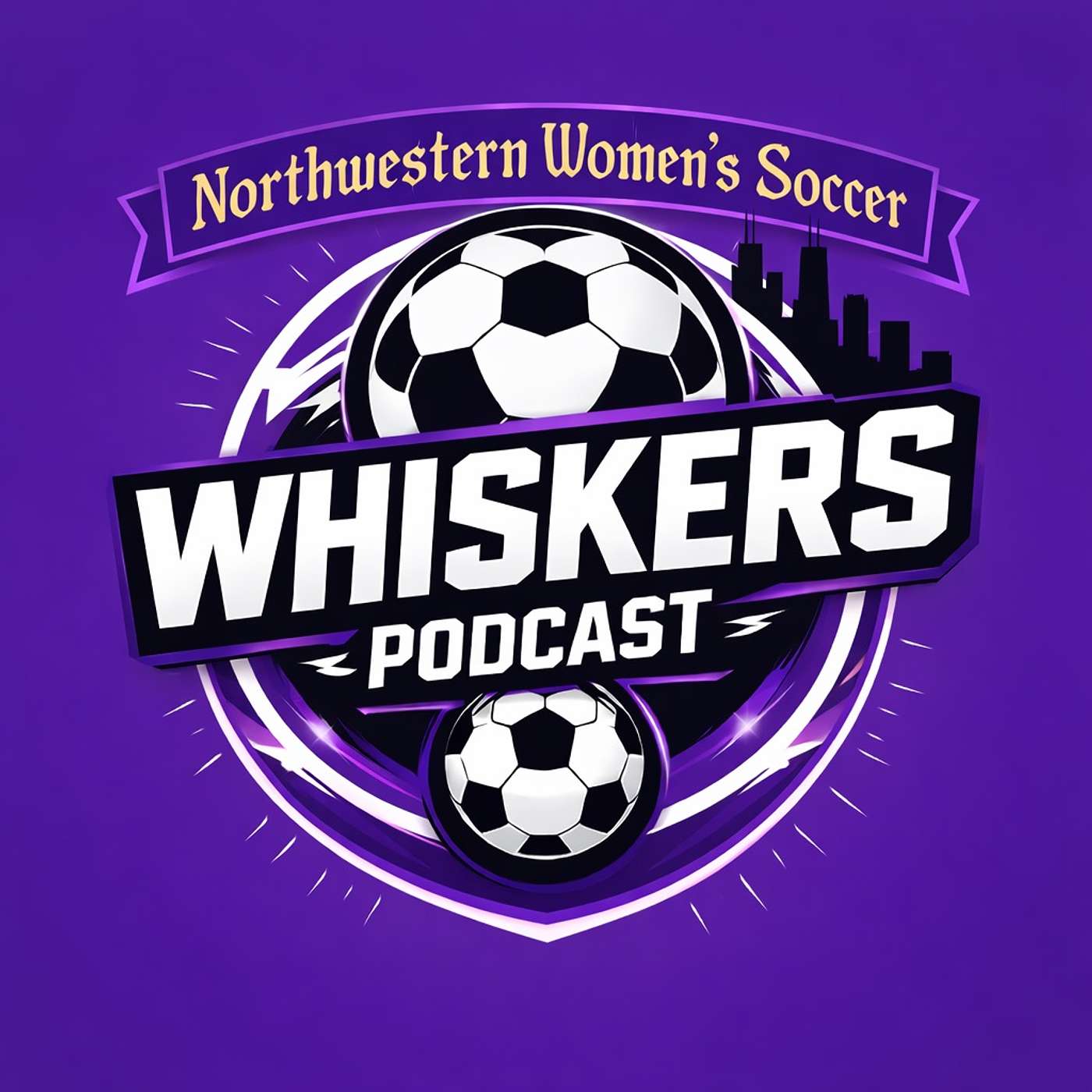 Whiskers: about the Northwestern Women’s Soccer Wildcats