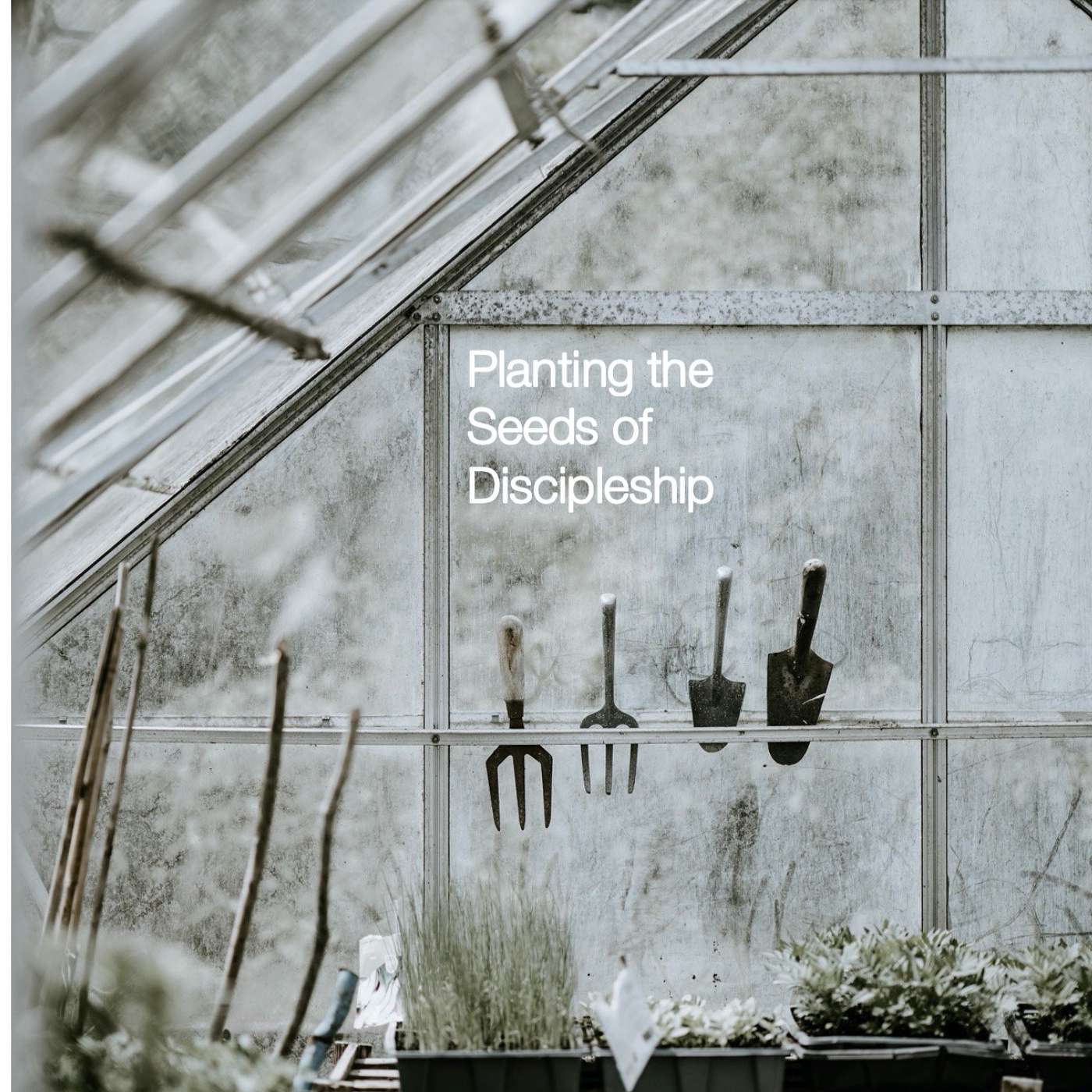 8-22-21 Connecting to the Call: Planting Seeds of Discipleship episode artwork