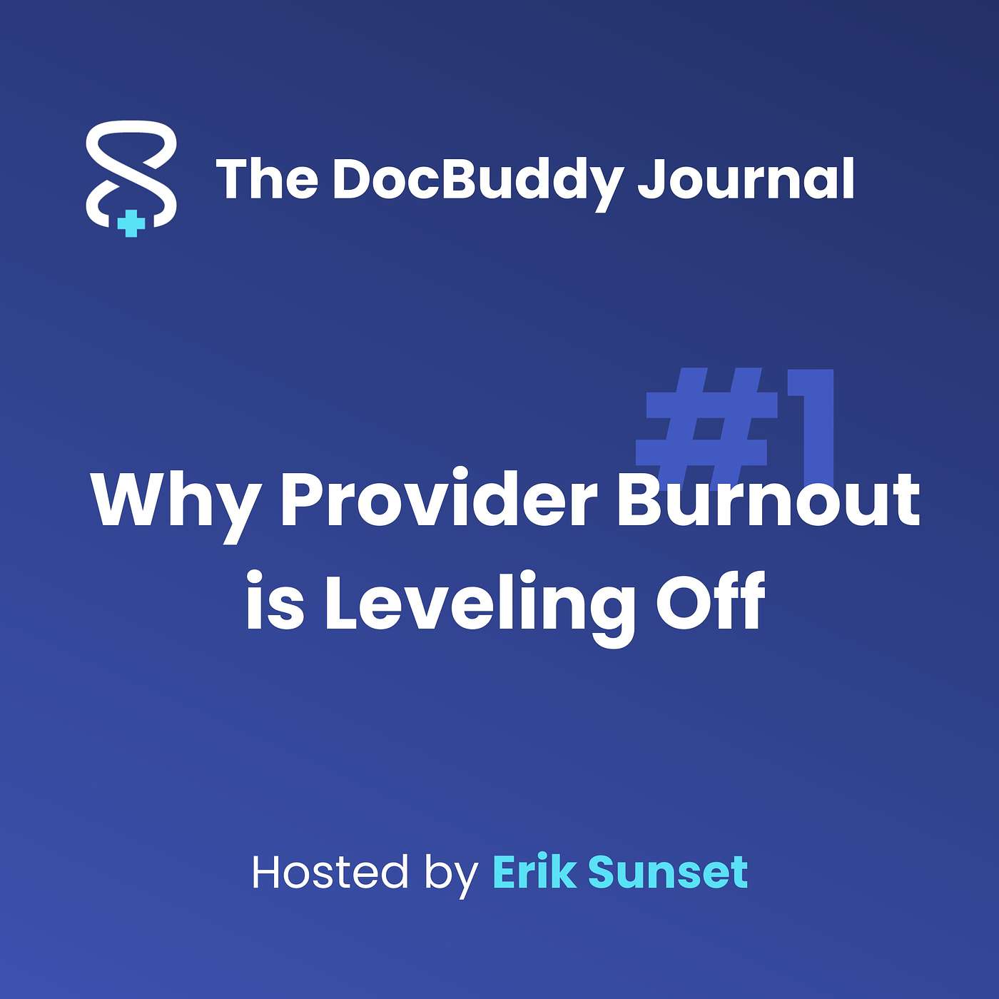 The DocBuddy Journal