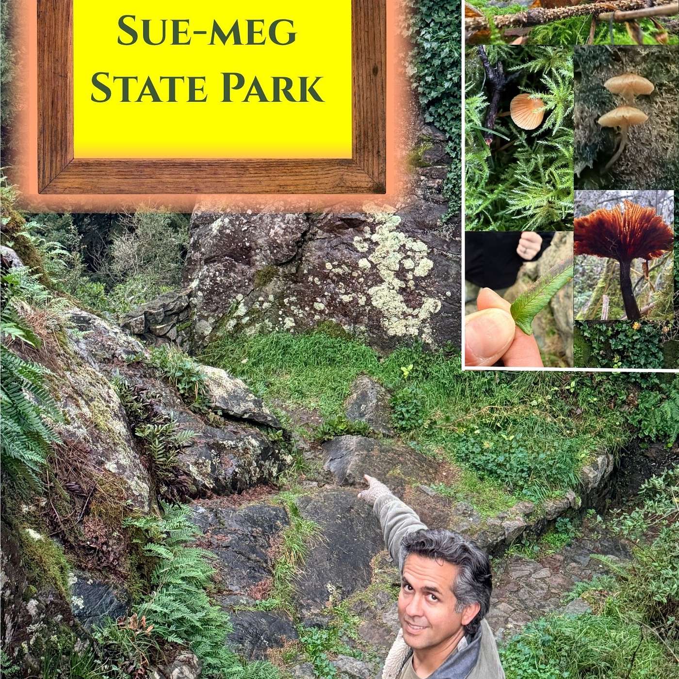 State of the State Parks S3 Ep2 Sue-meg State Park CA episode artwork