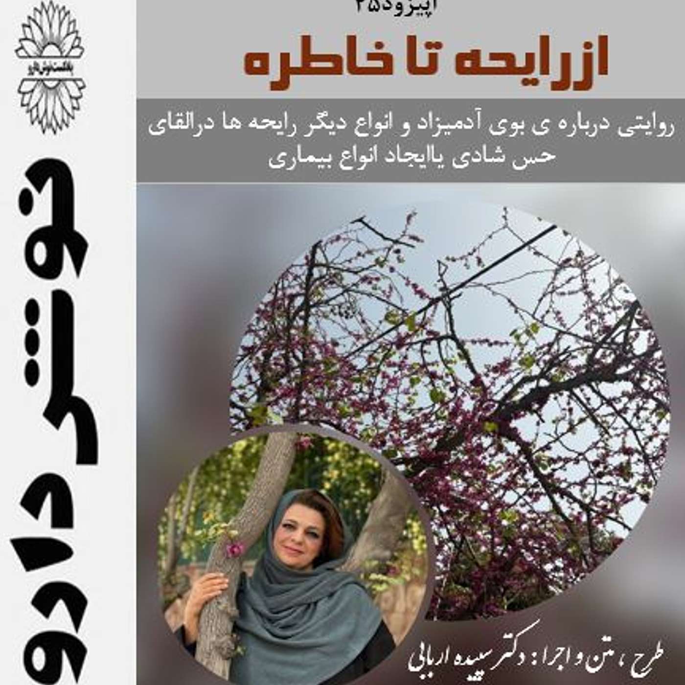 از رایحه تا خاطره