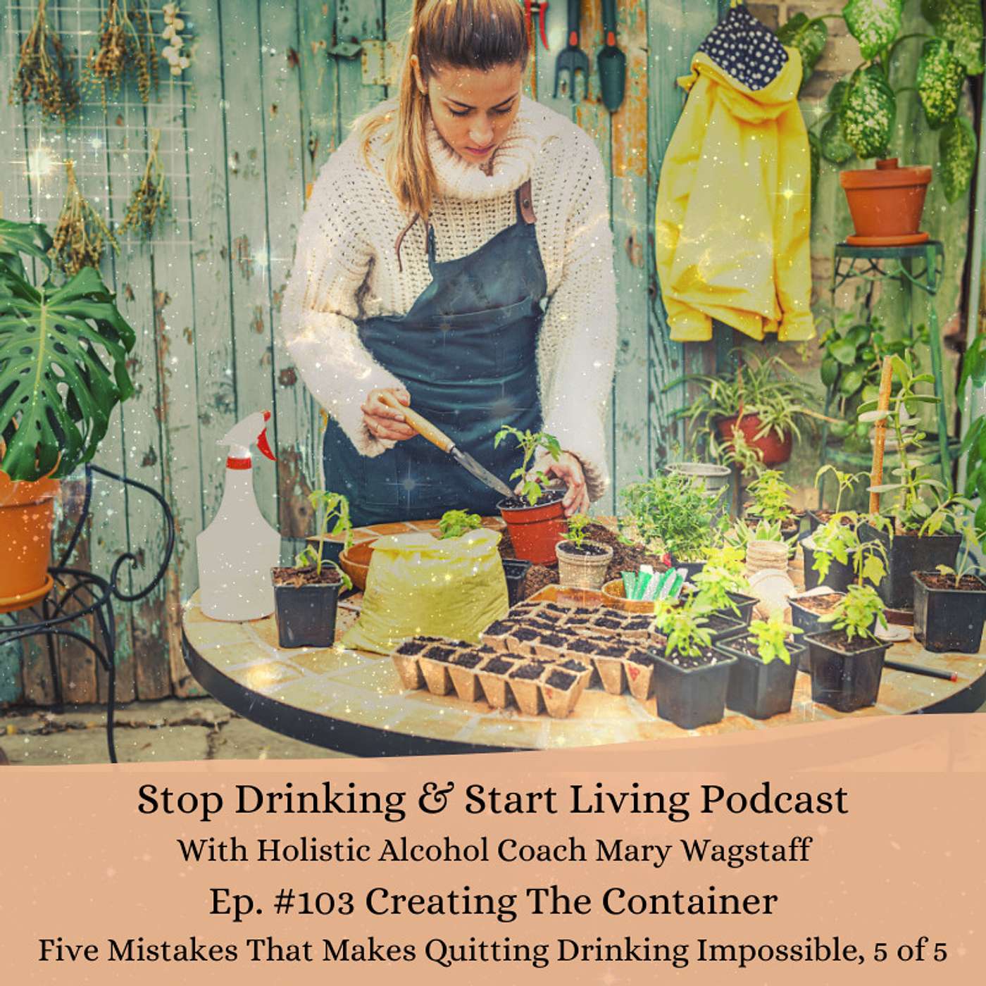Ep. #103 Creating The Container: Five Mistakes That Makes Quitting Drinking Impossible, 5 of 5