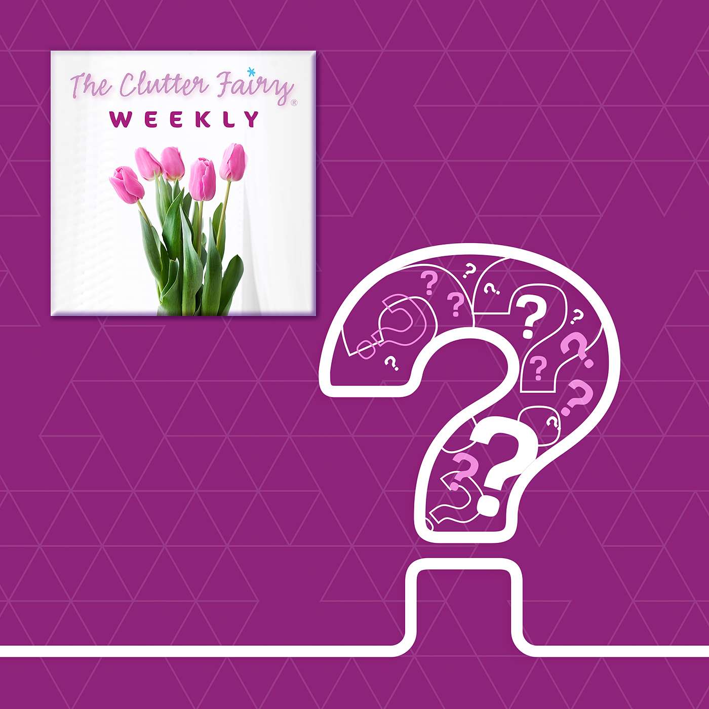 Logic versus Heart | The Need to Feel Good About Letting Things Go - The Clutter Fairy Weekly #314