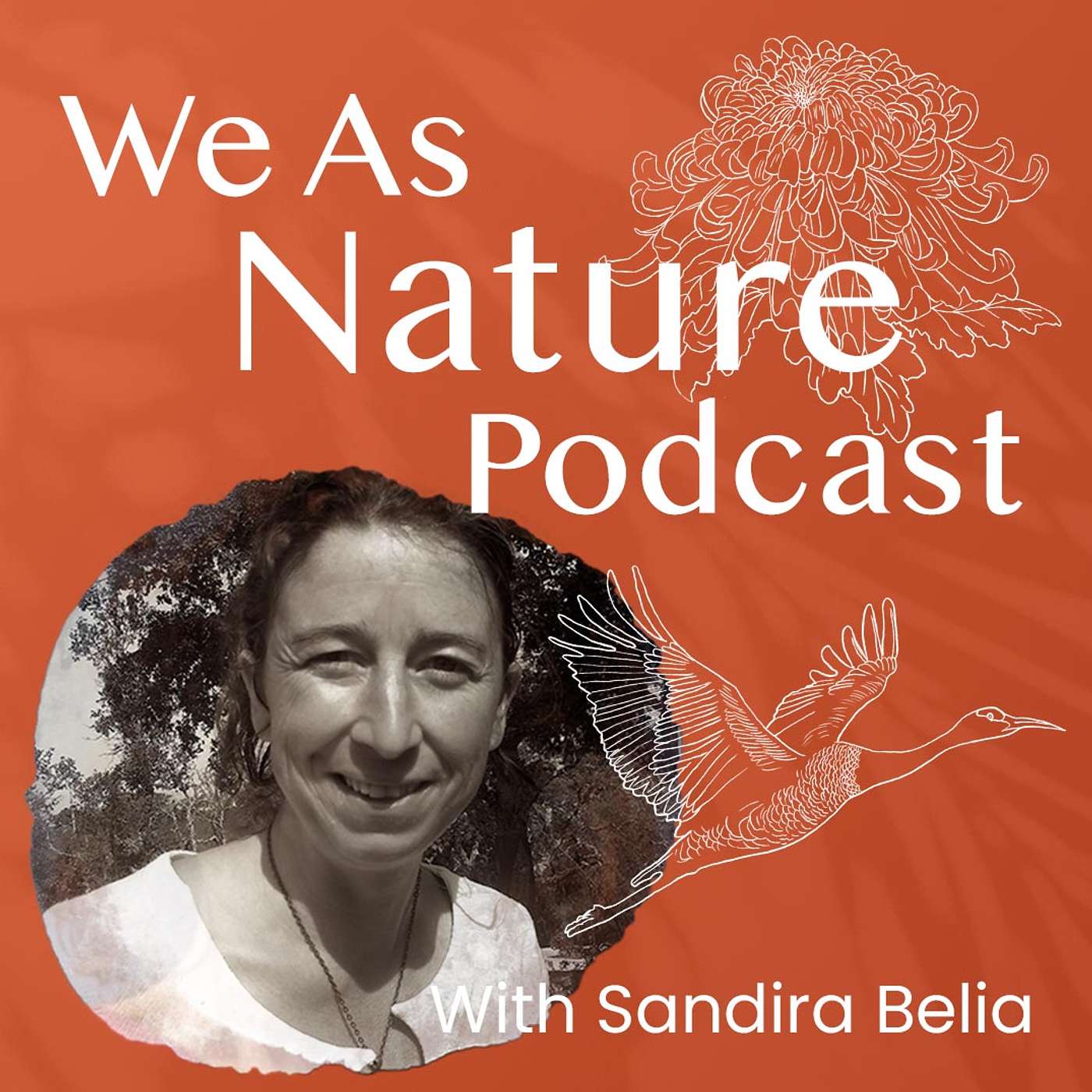Journeying into the Queendom of the bees with Sandira Belia